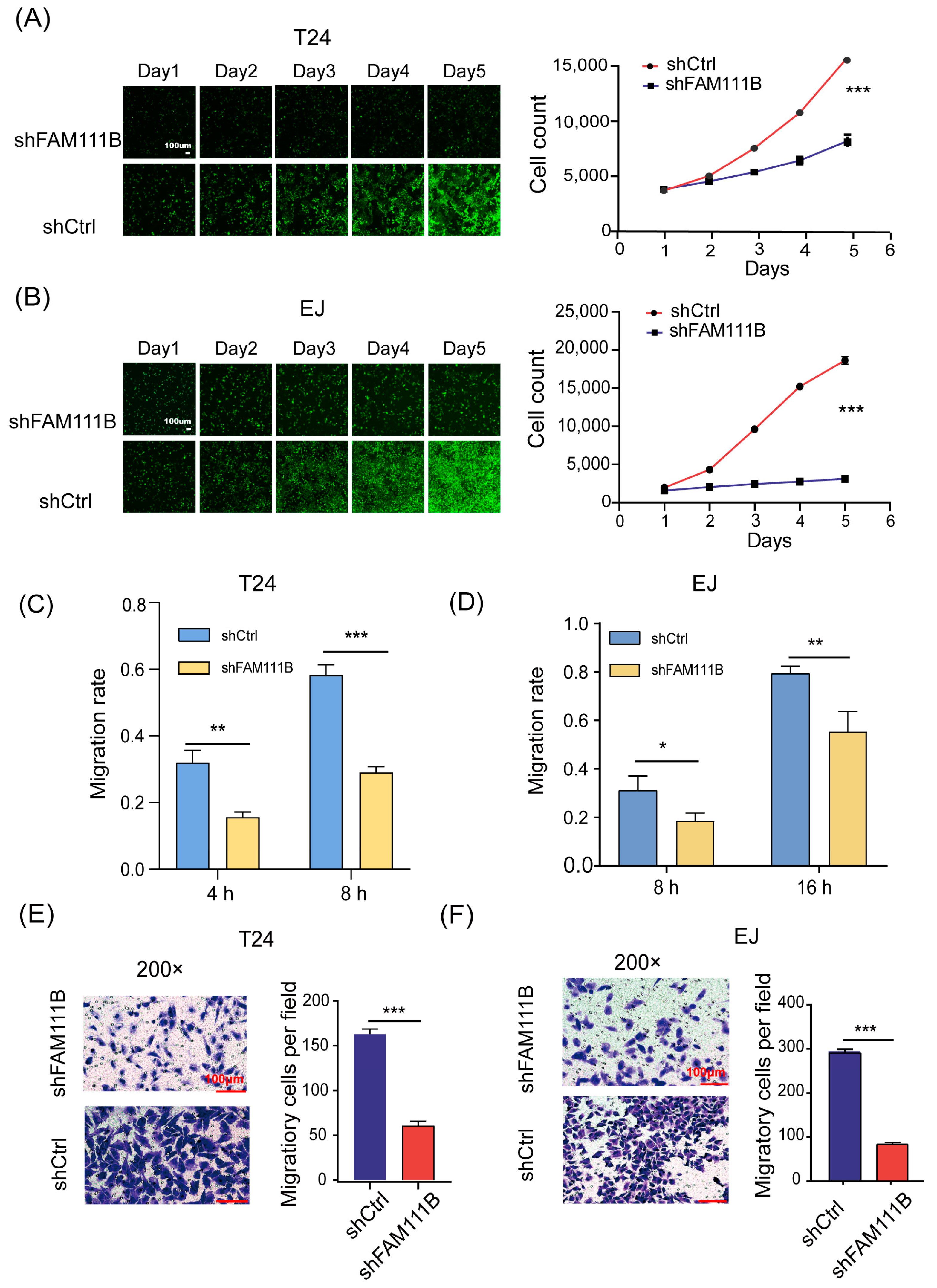 Cancers 15 05122 g003