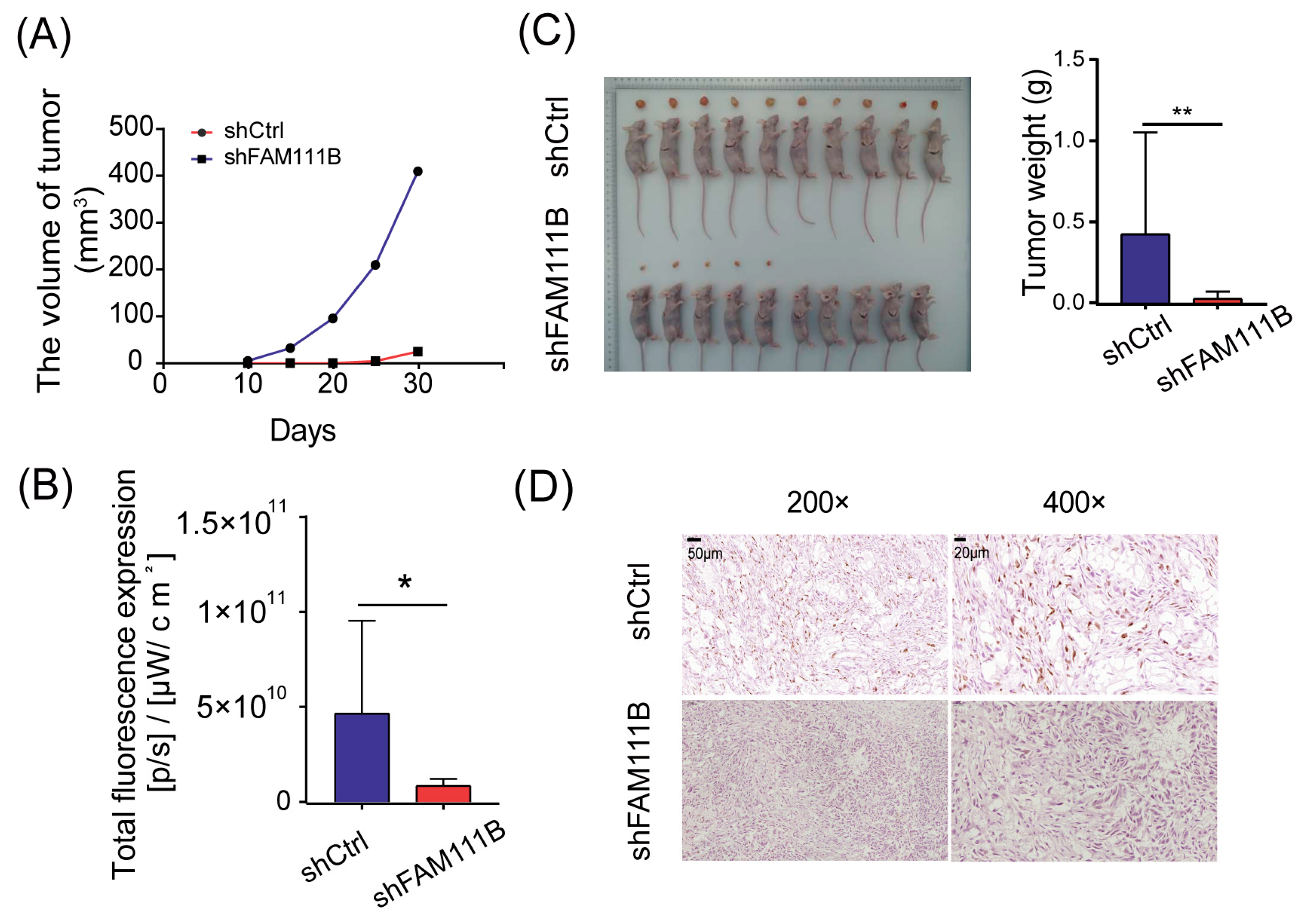 Cancers 15 05122 g005