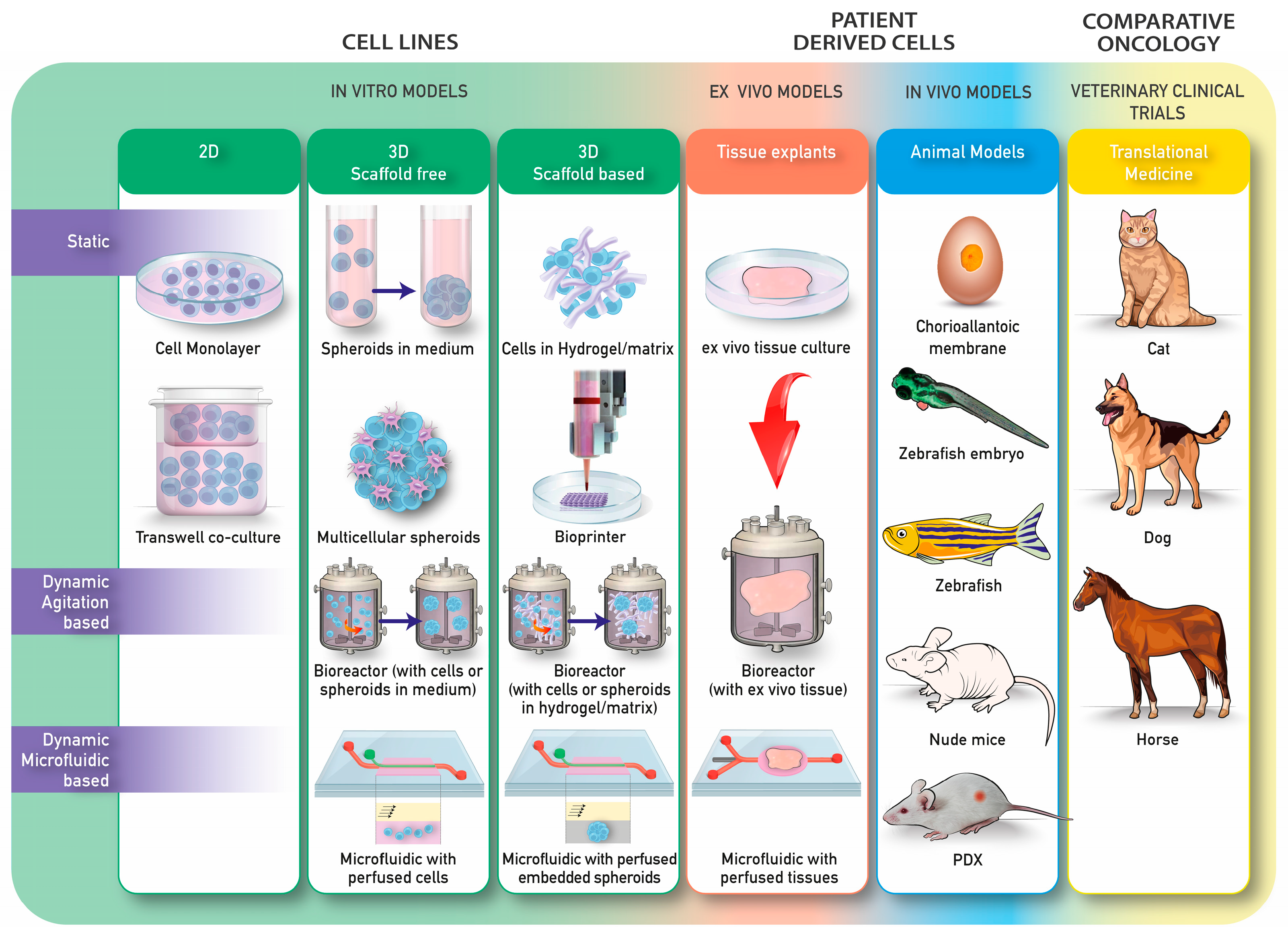 Cancers 15 05132 g001
