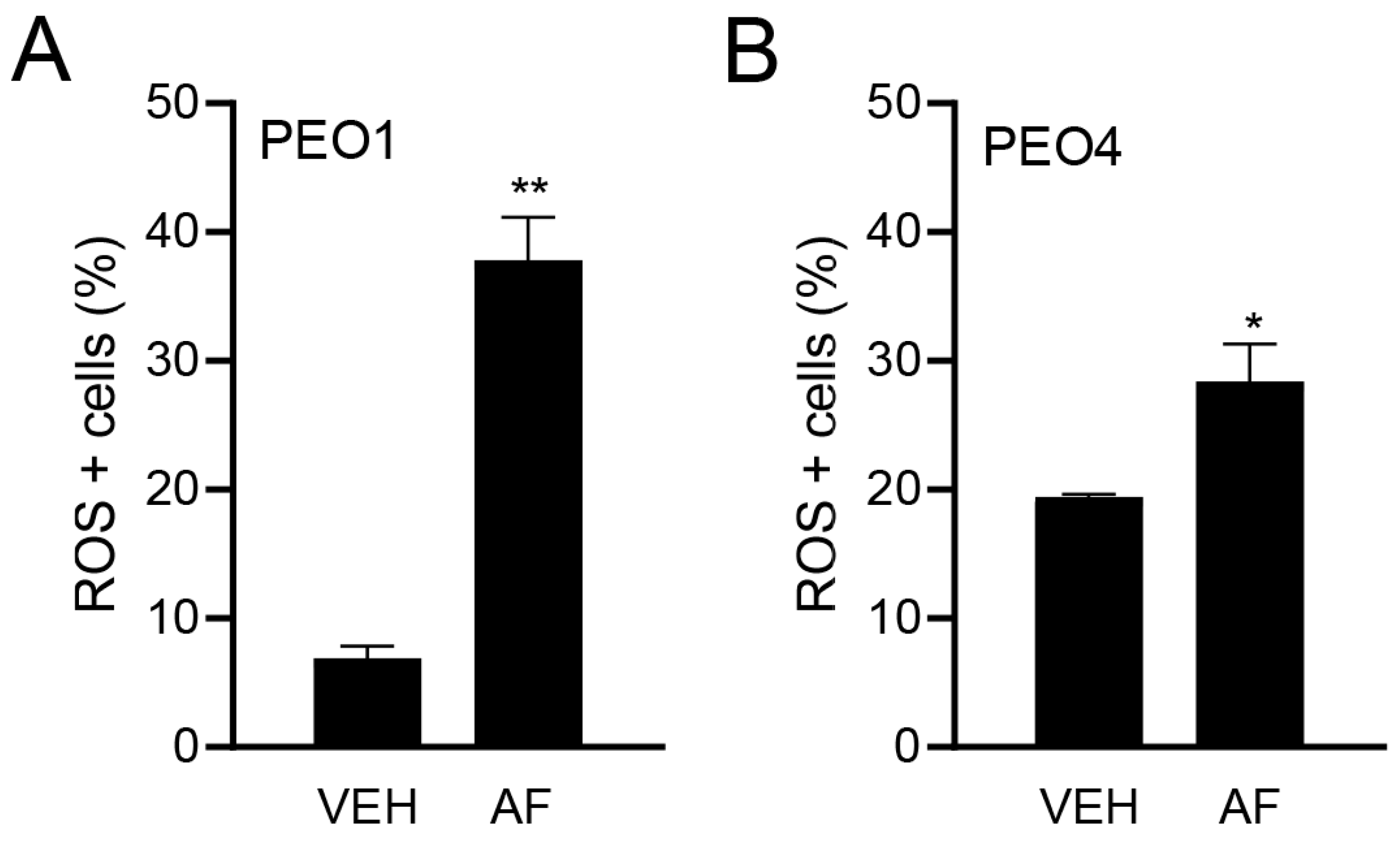 Cancers 15 05136 g003