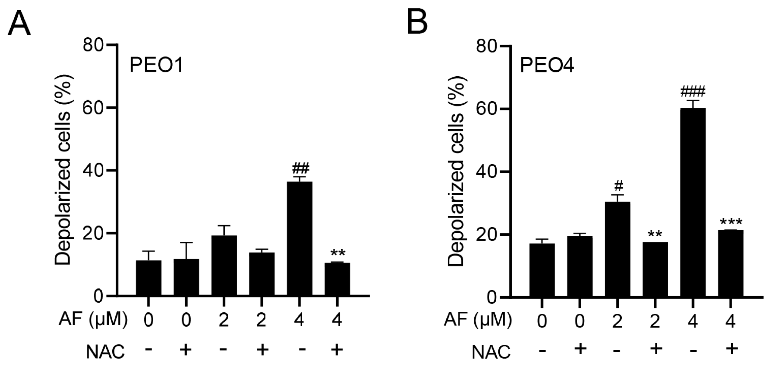 Cancers 15 05136 g005