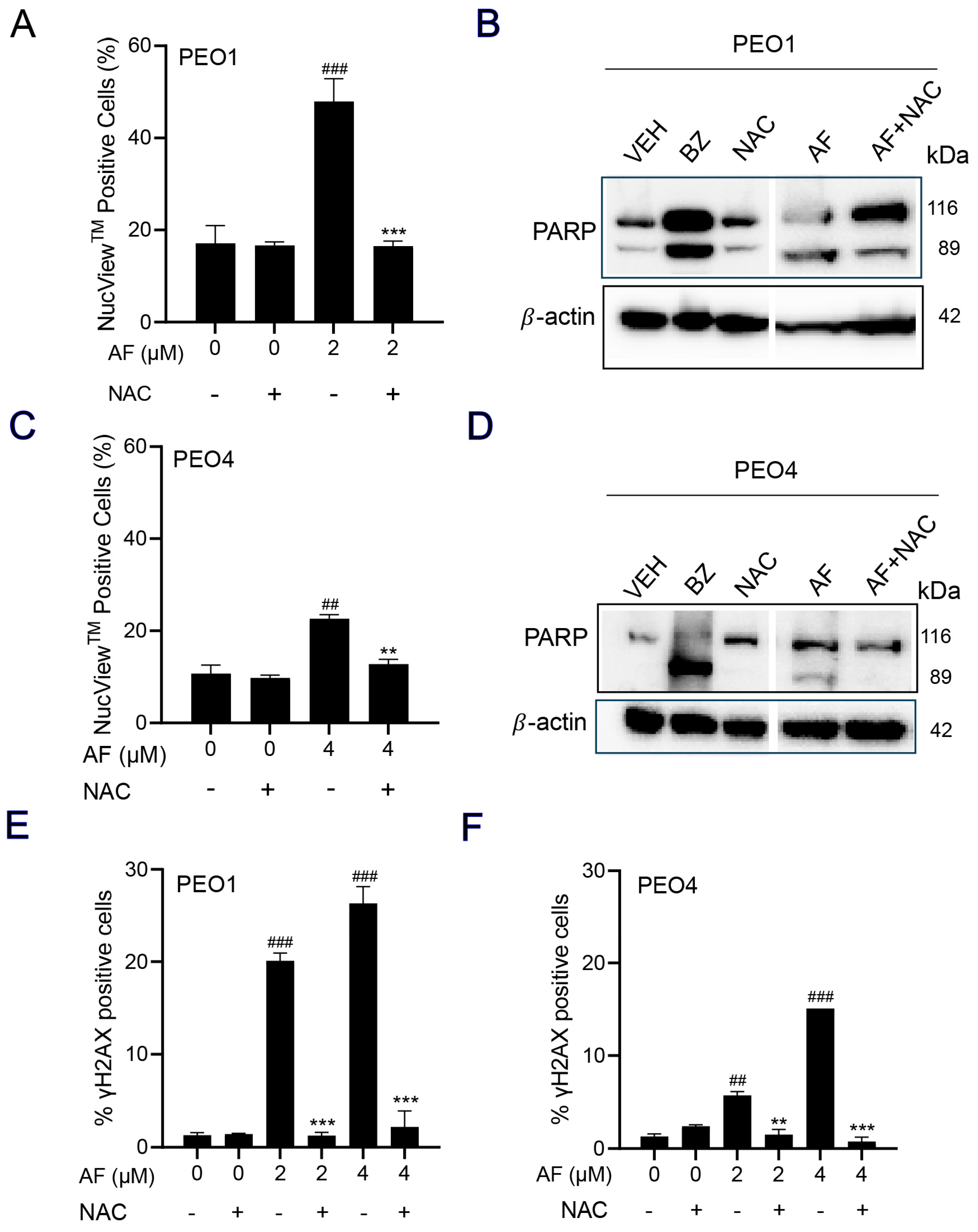 Cancers 15 05136 g007