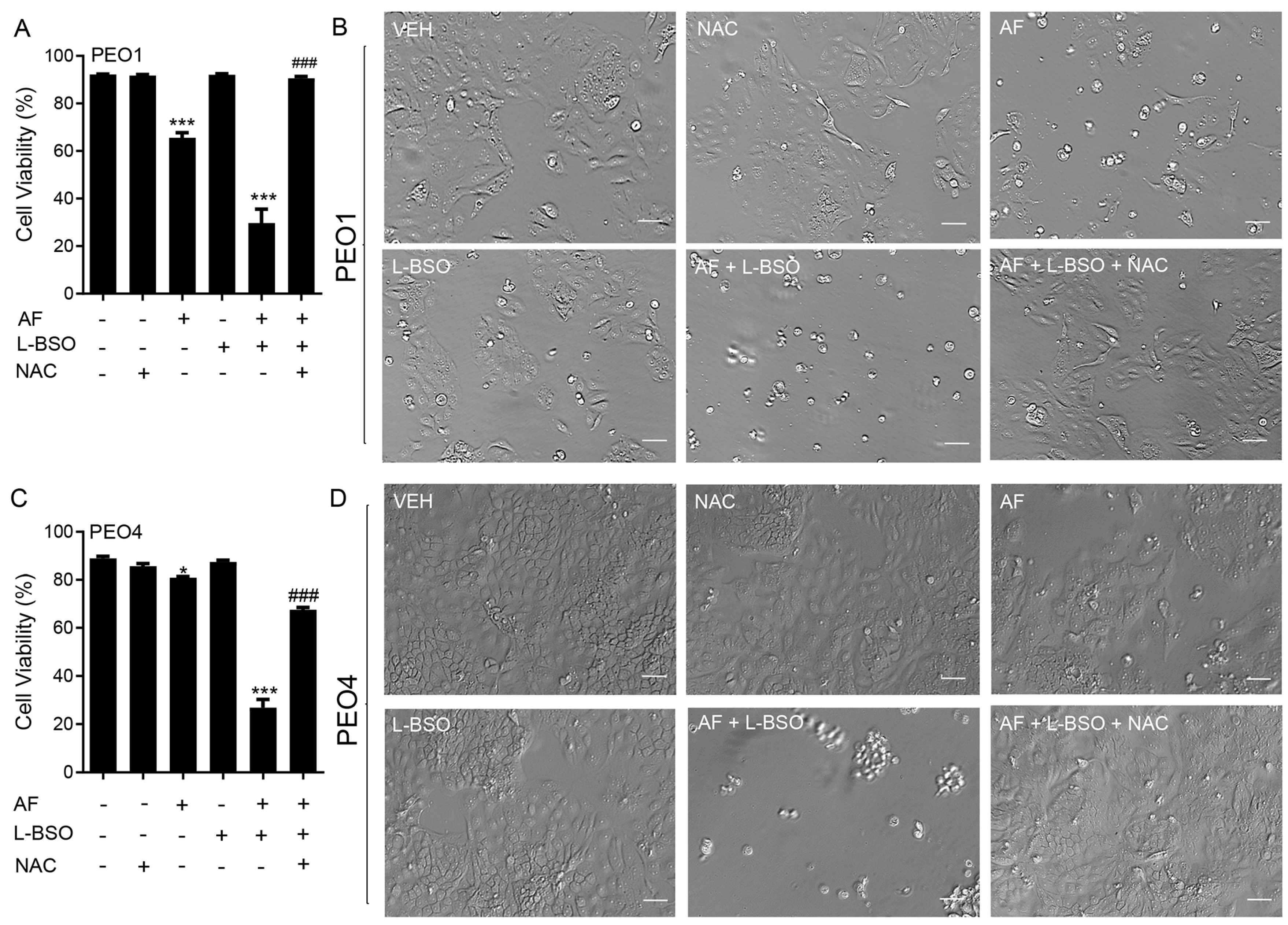 Cancers 15 05136 g009