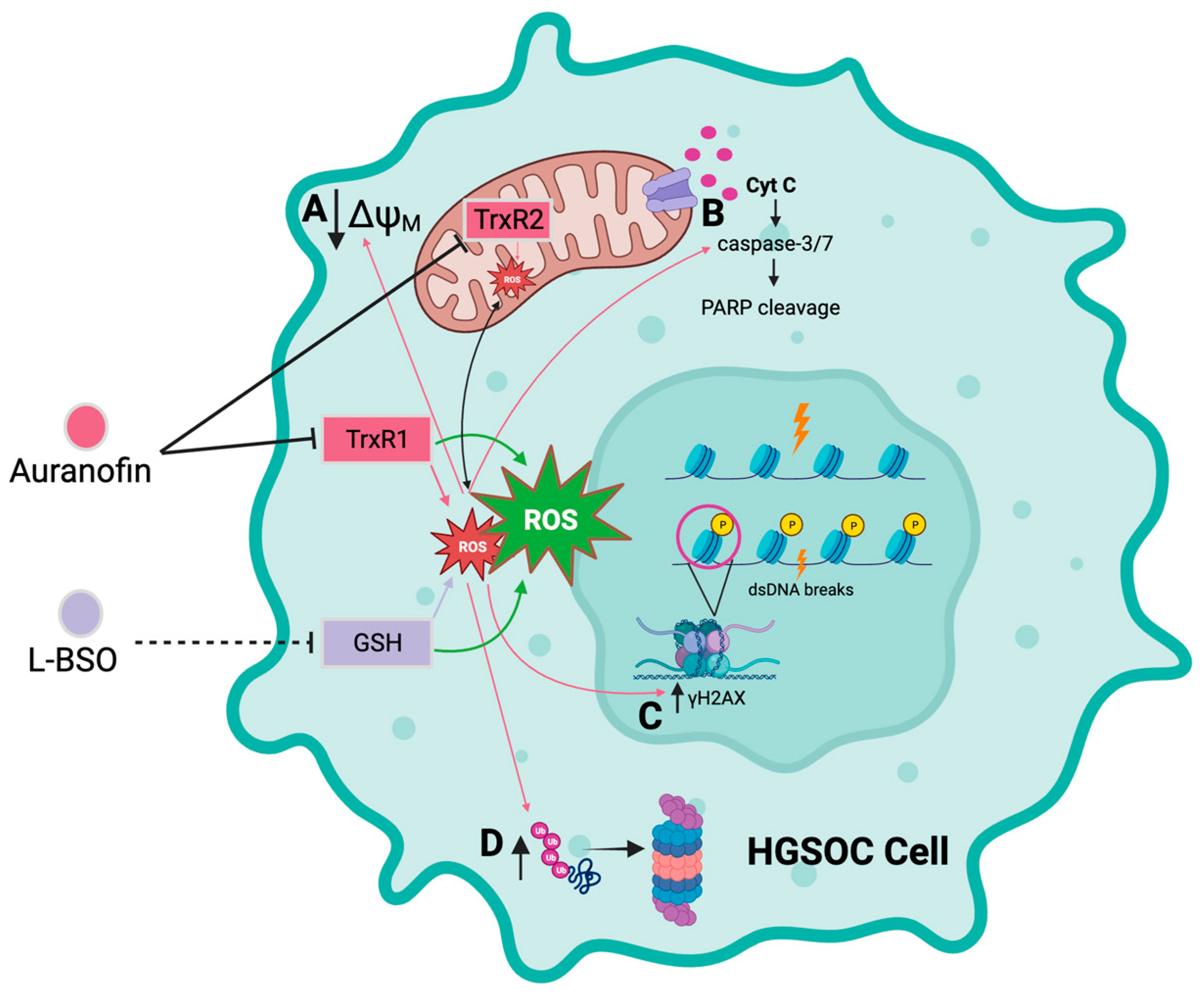 Cancers 15 05136 g010