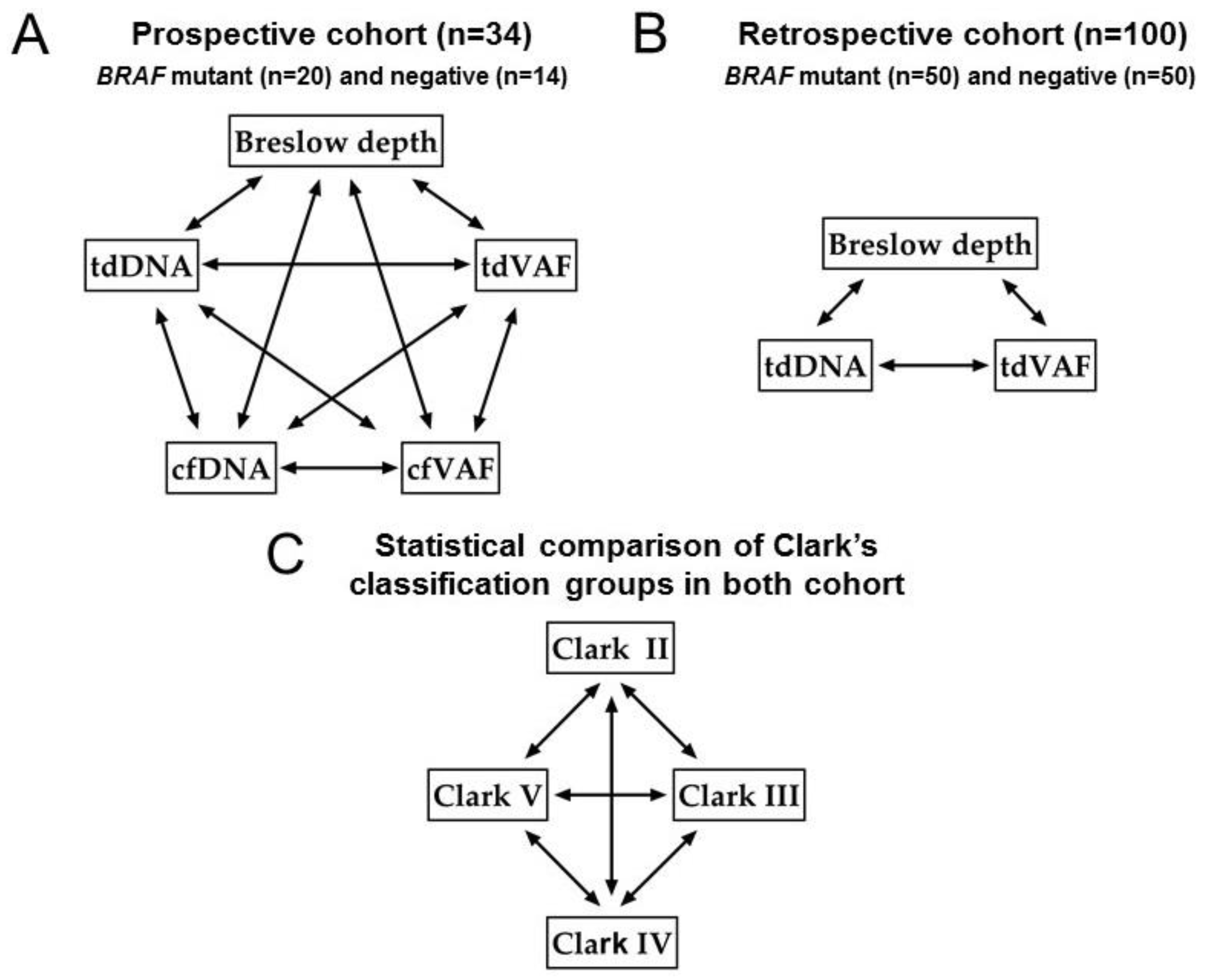 Cancers 15 05141 g001