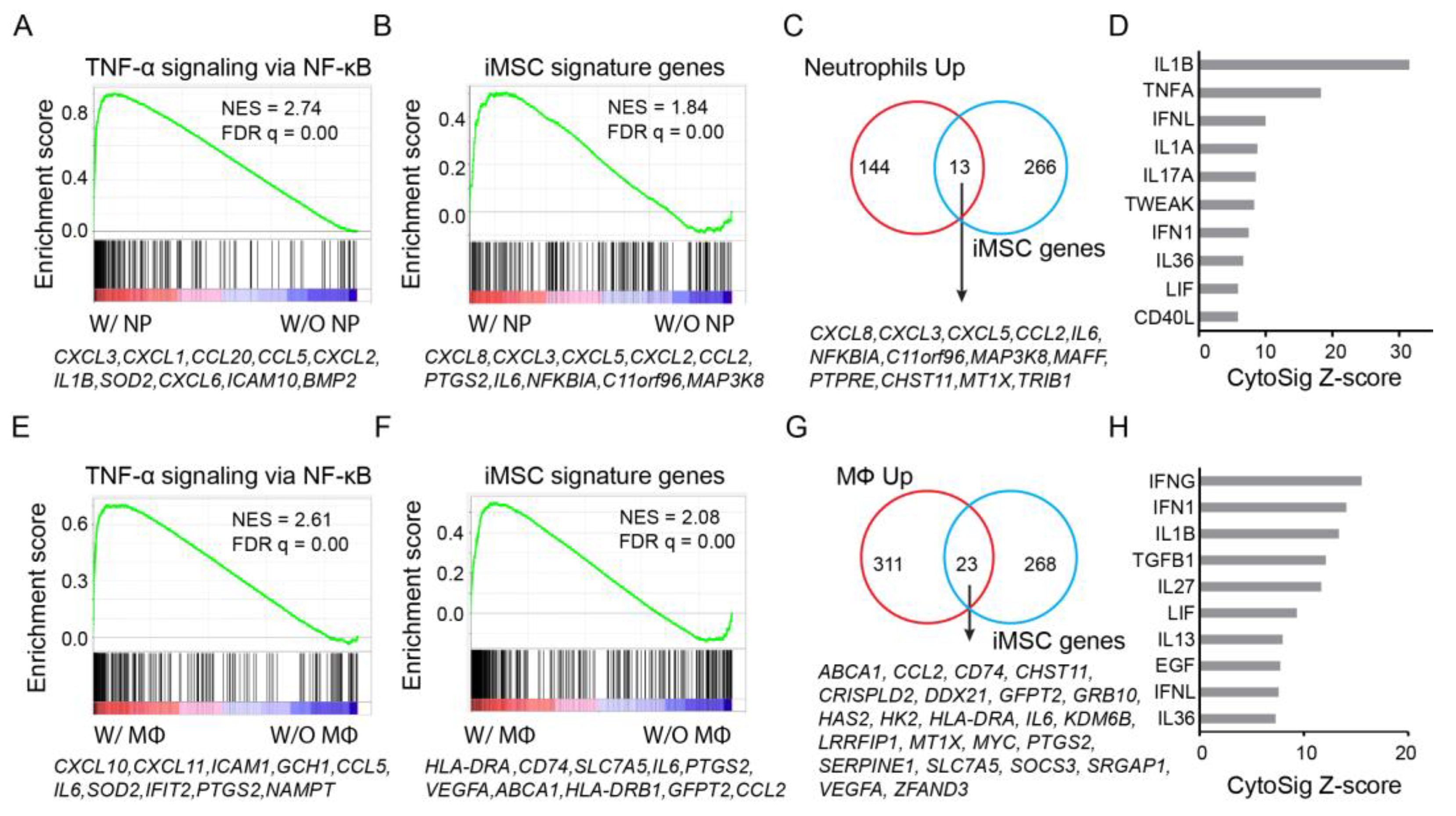 Cancers 15 05148 g004