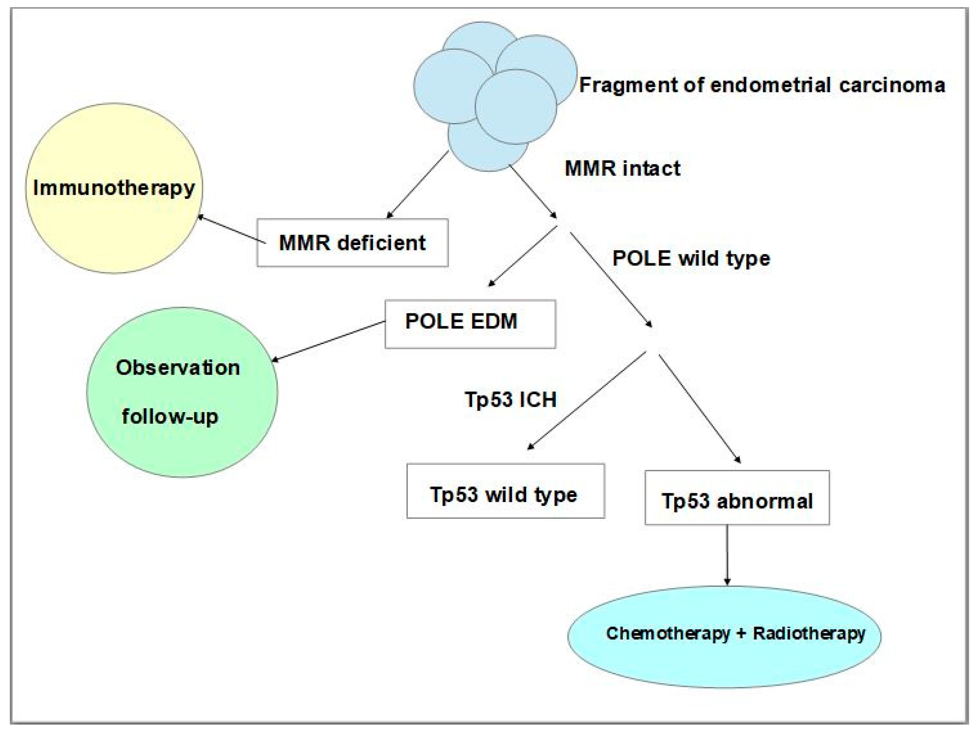 Cancers 15 05155 g003 Cancers 15 05155 g003