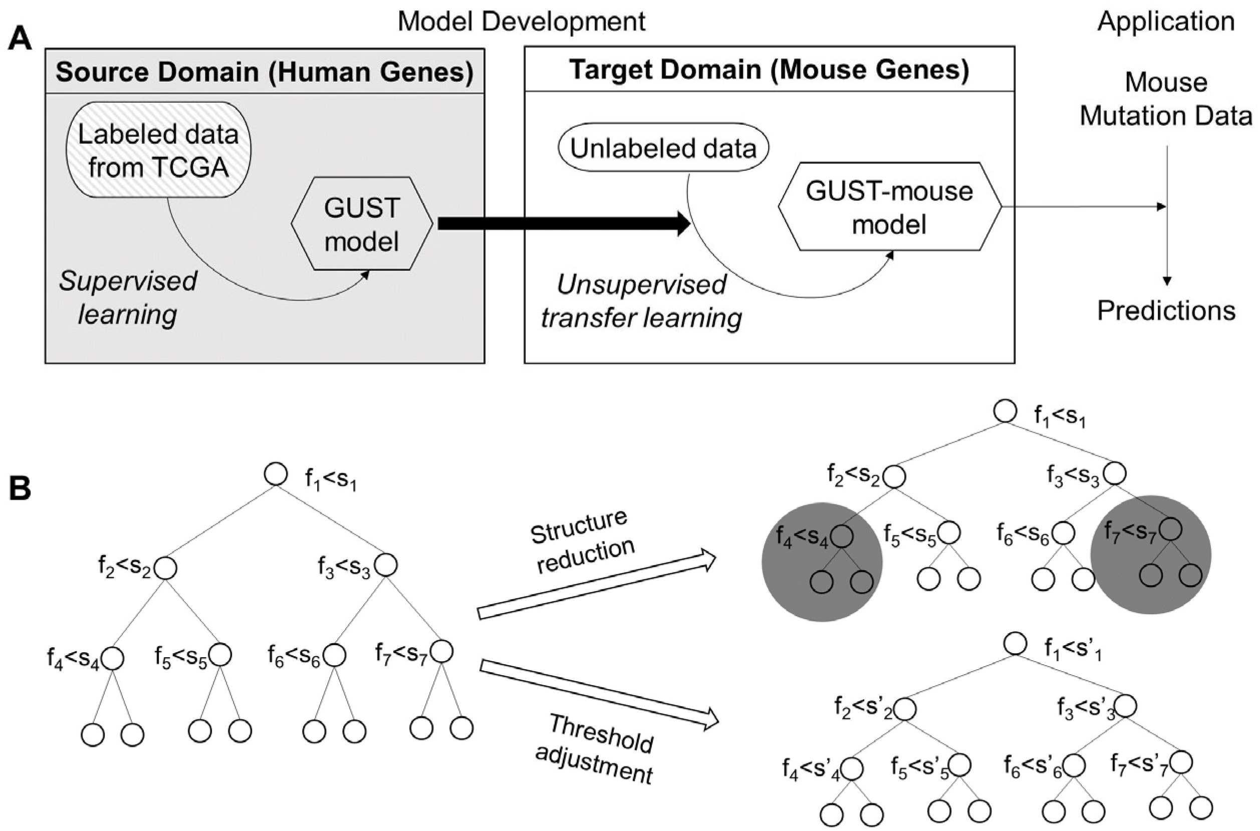 Cancers 15 05156 g001