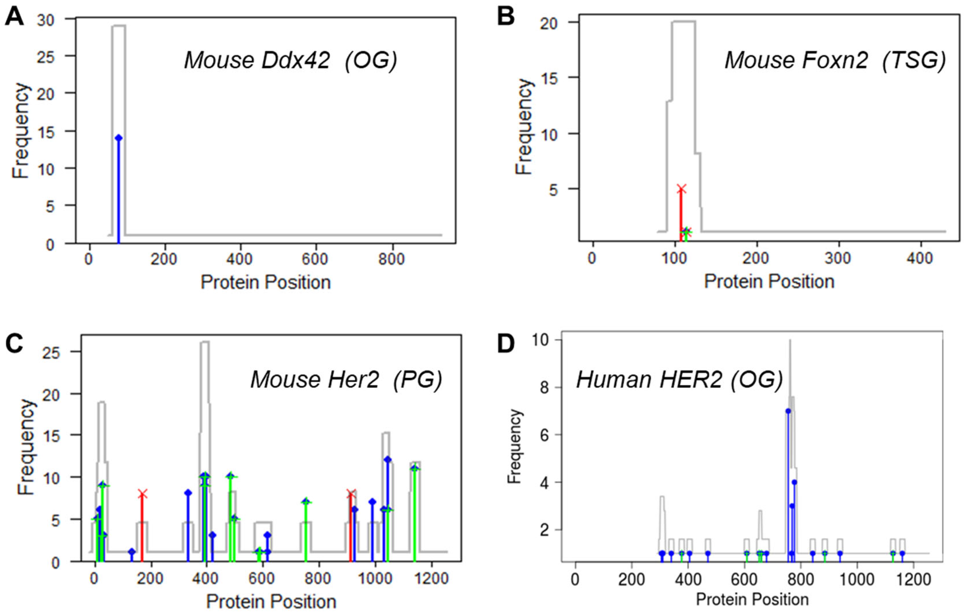 Cancers 15 05156 g003