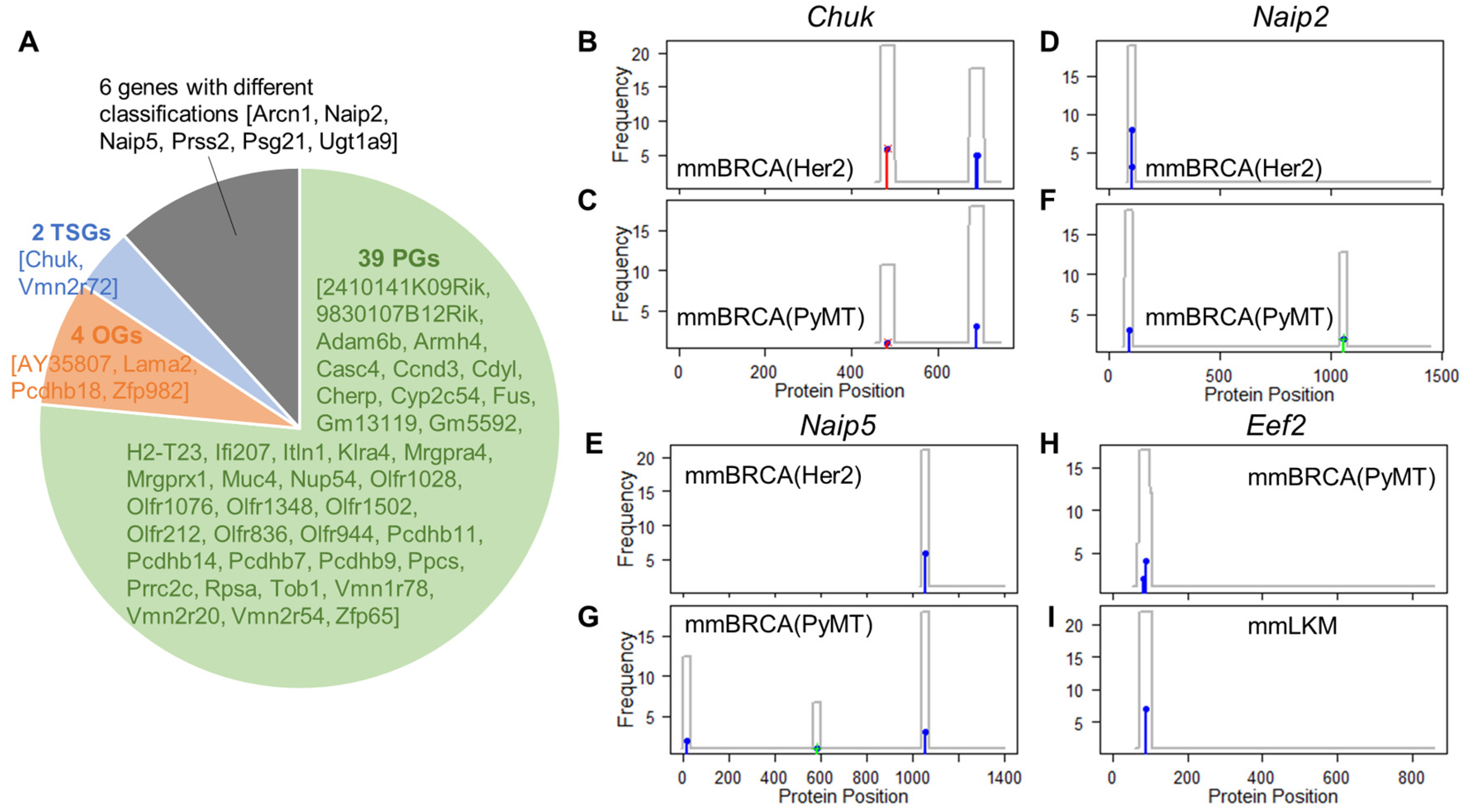 Cancers 15 05156 g004