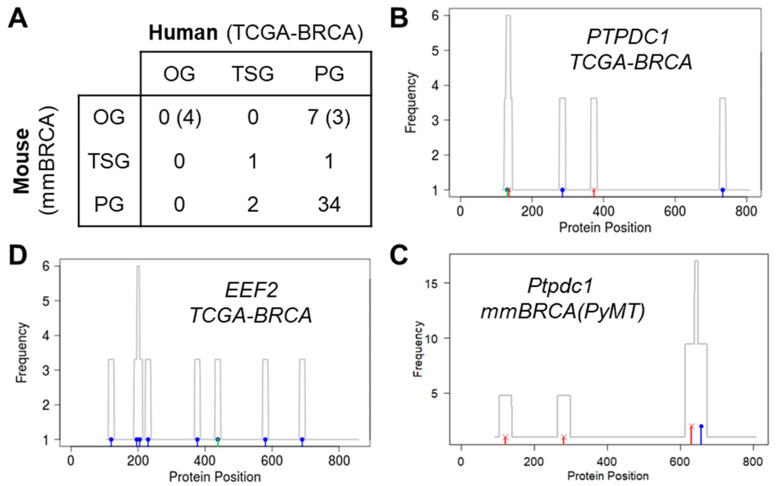 Cancers 15 05156 g005