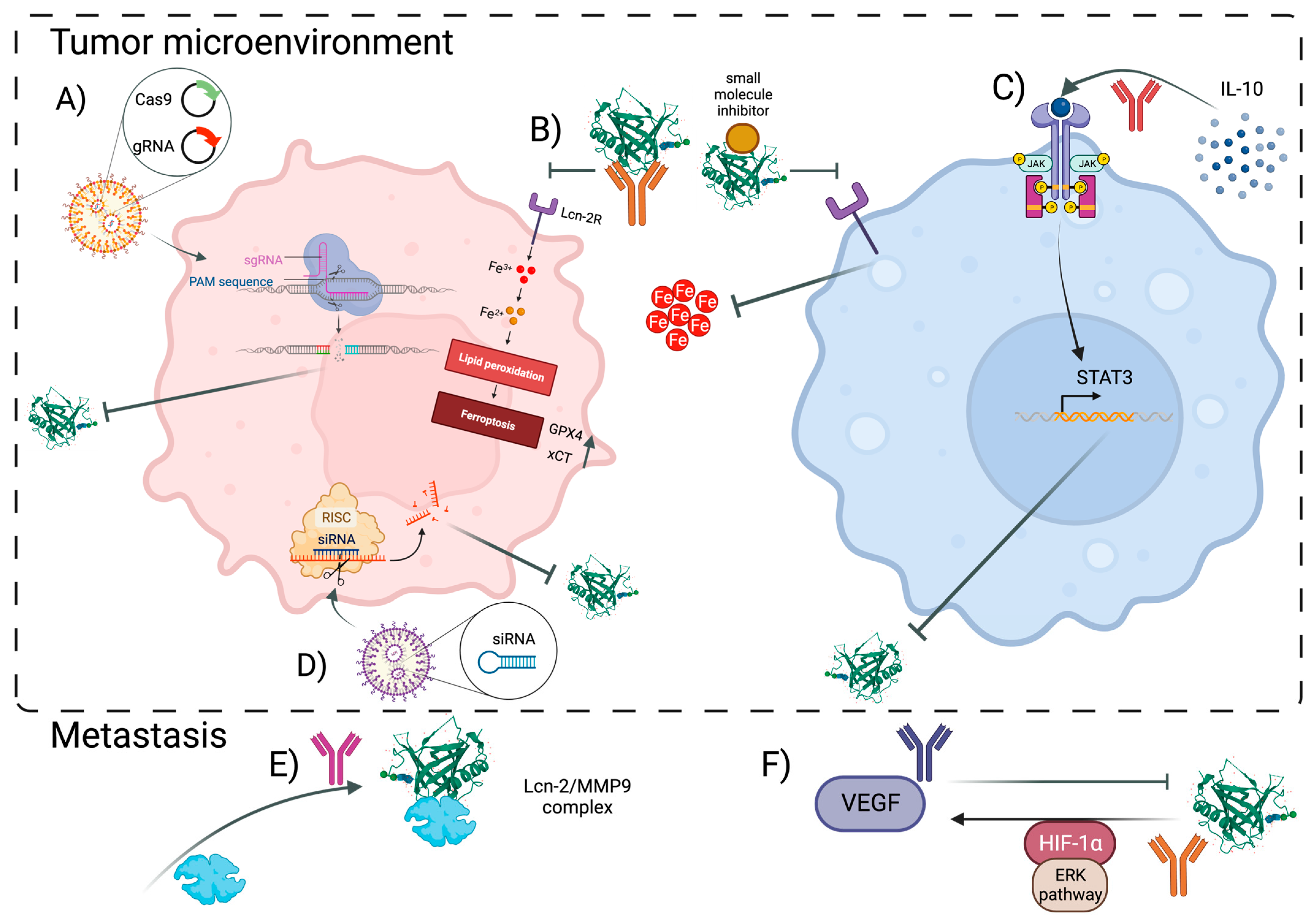 Cancers 15 05159 g002