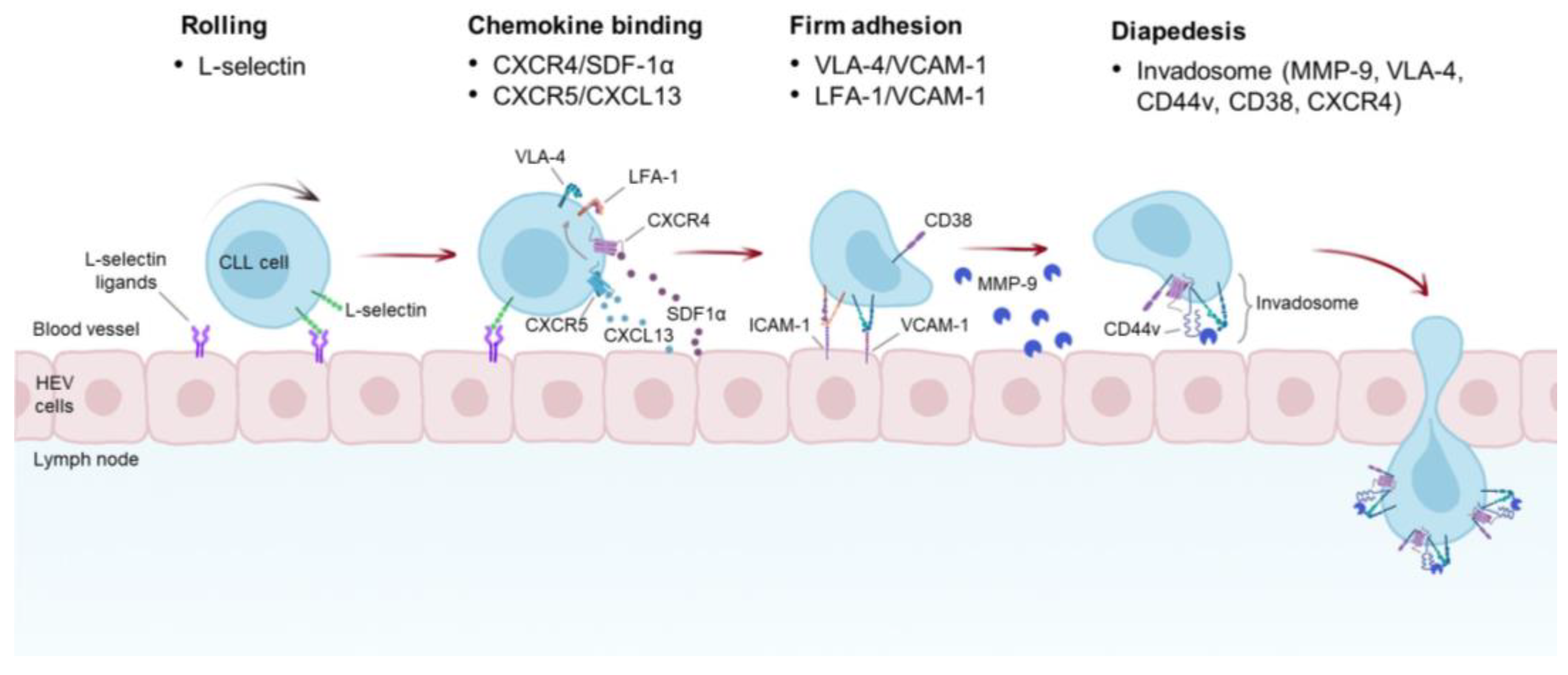 Cancers 15 05160 g002 Cancers 15 05160 g002