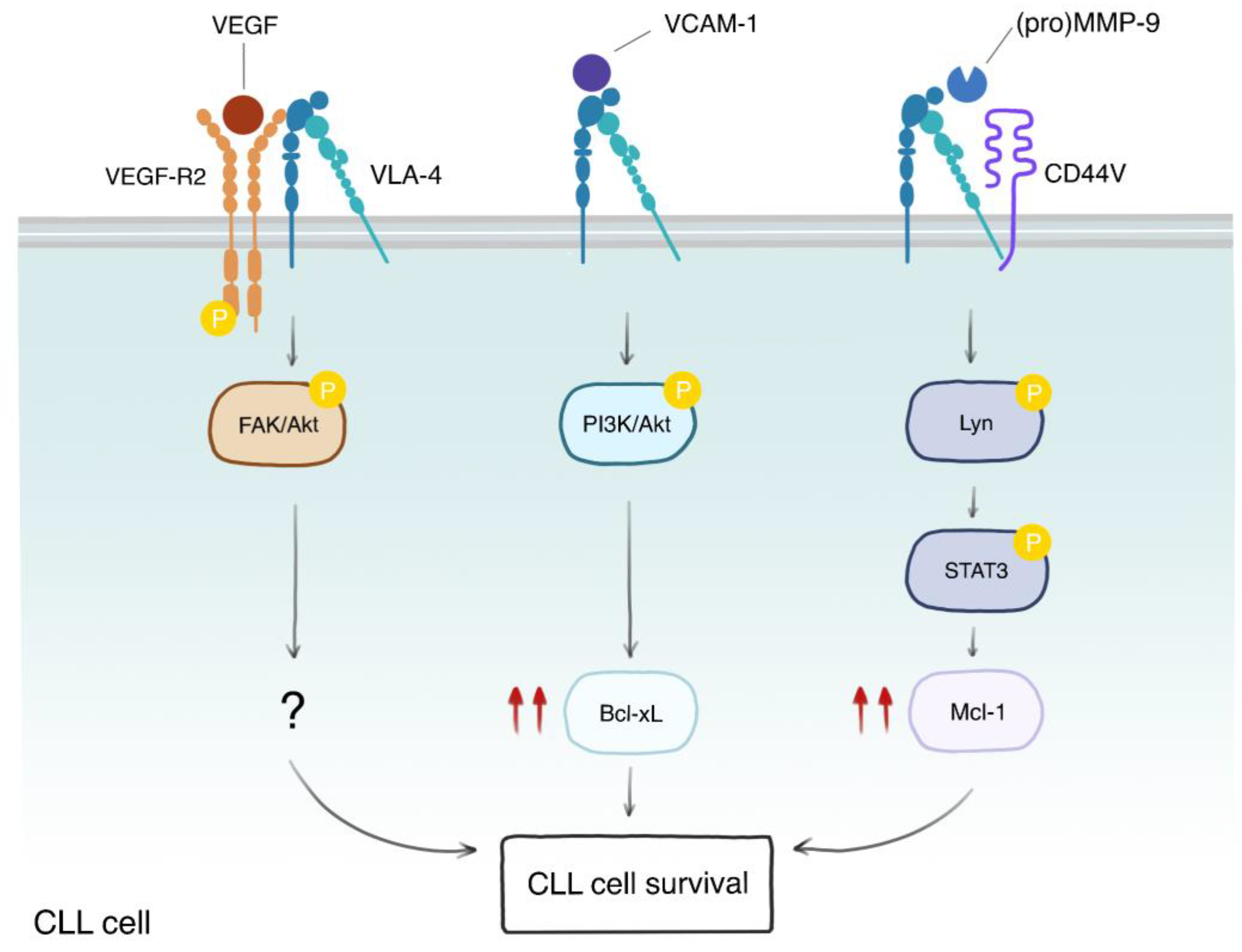 Cancers 15 05160 g003 Cancers 15 05160 g003