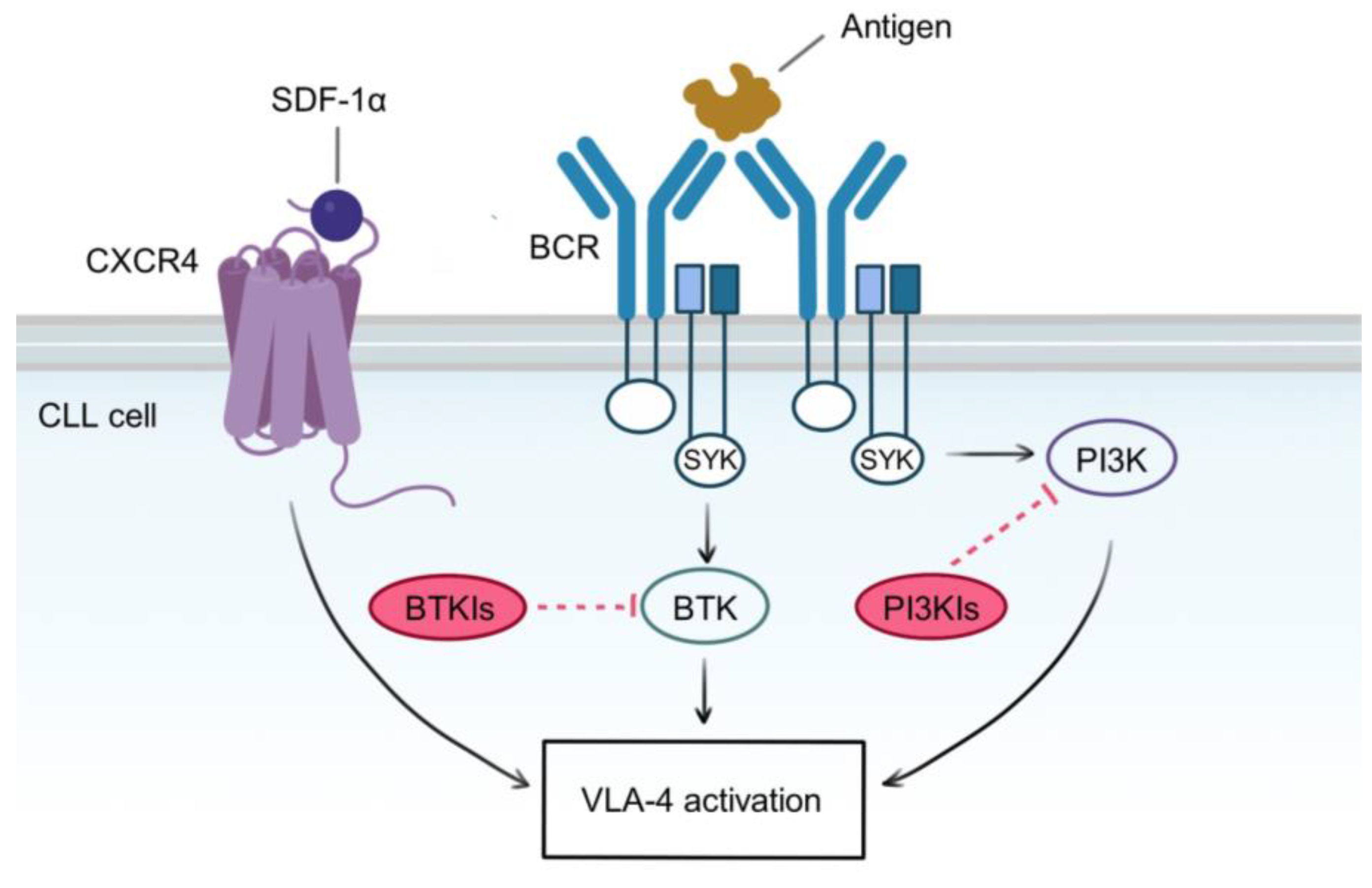 Cancers 15 05160 g004 Cancers 15 05160 g004