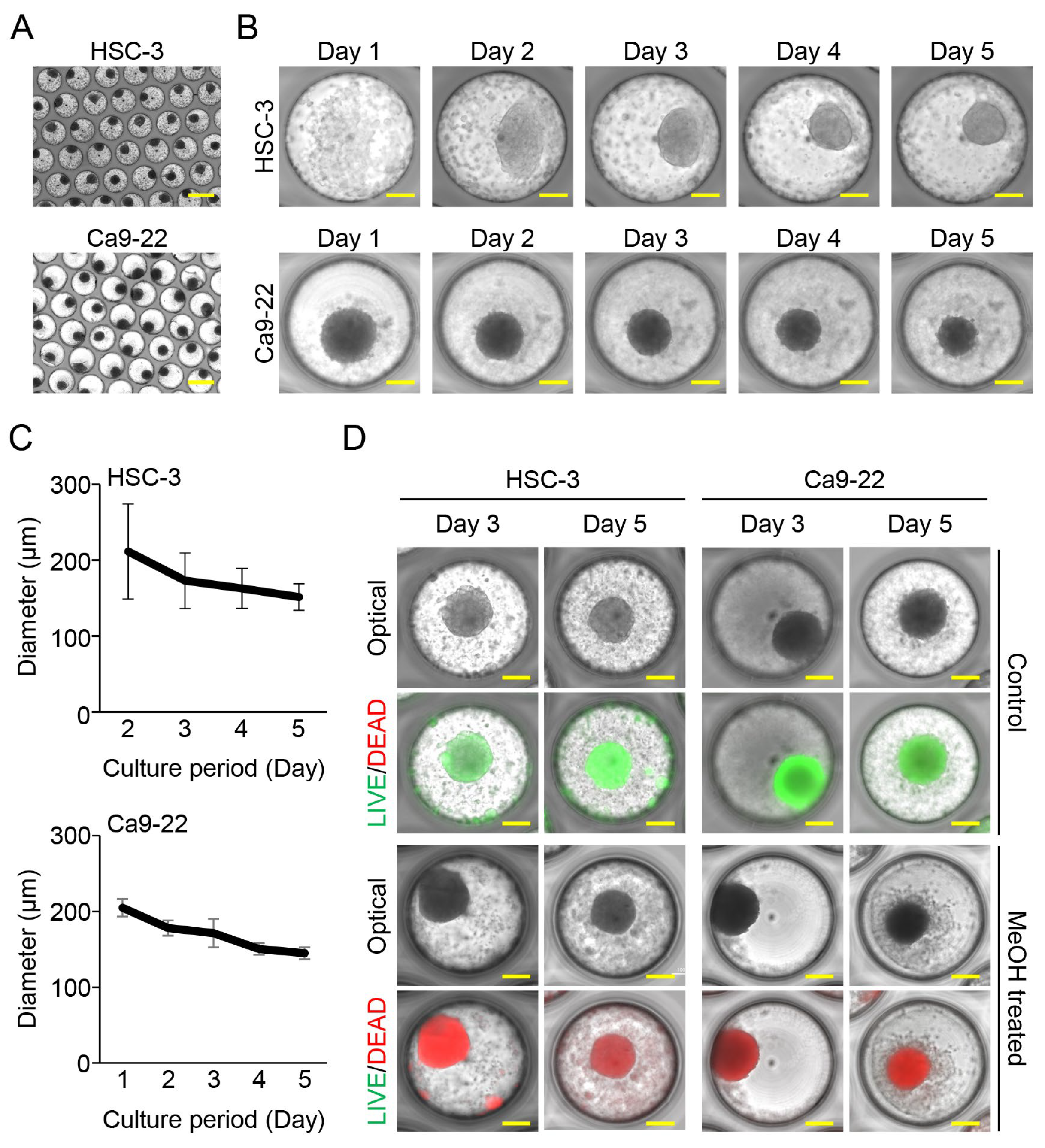 Cancers 15 05162 g001
