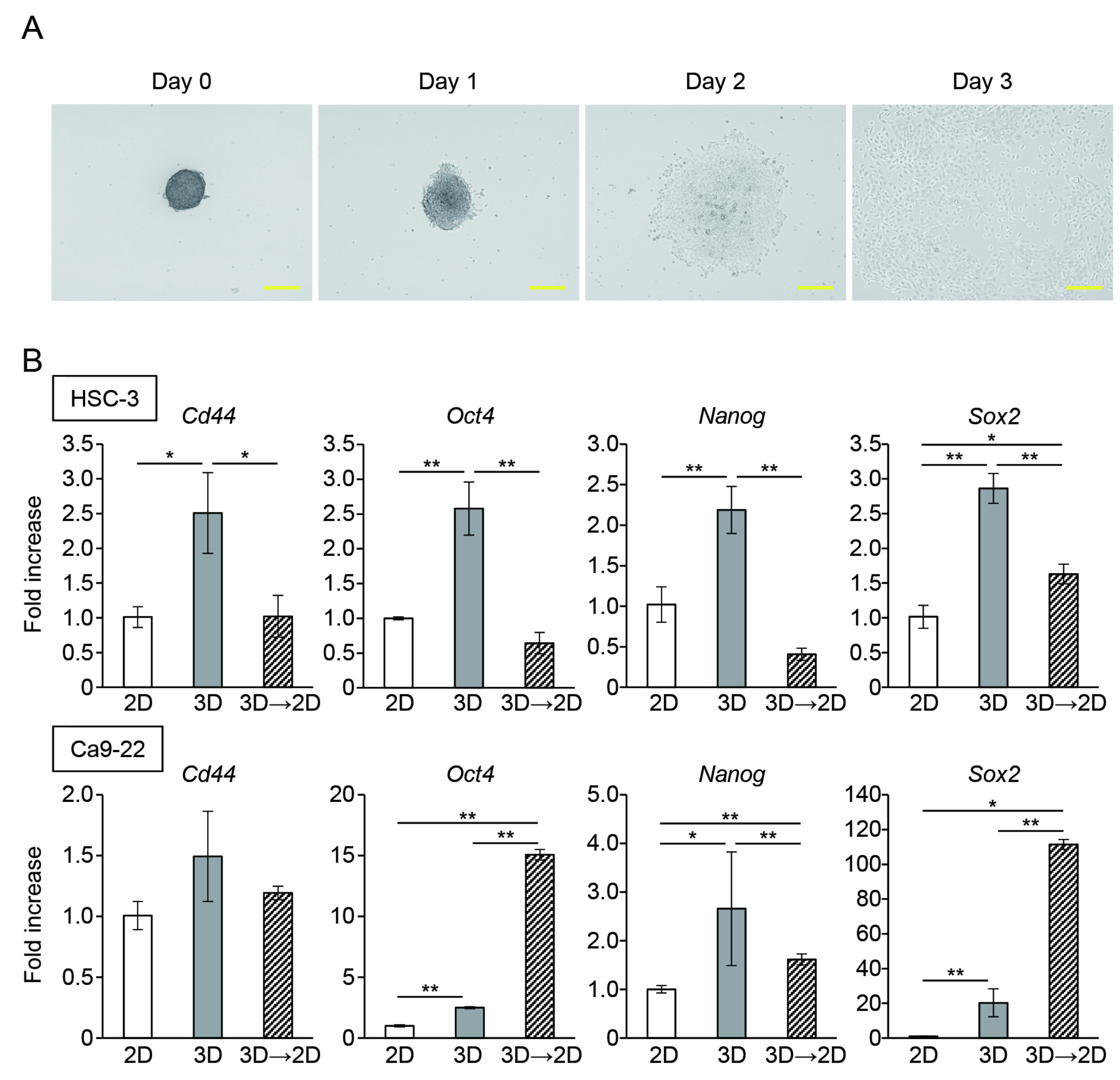 Cancers 15 05162 g005