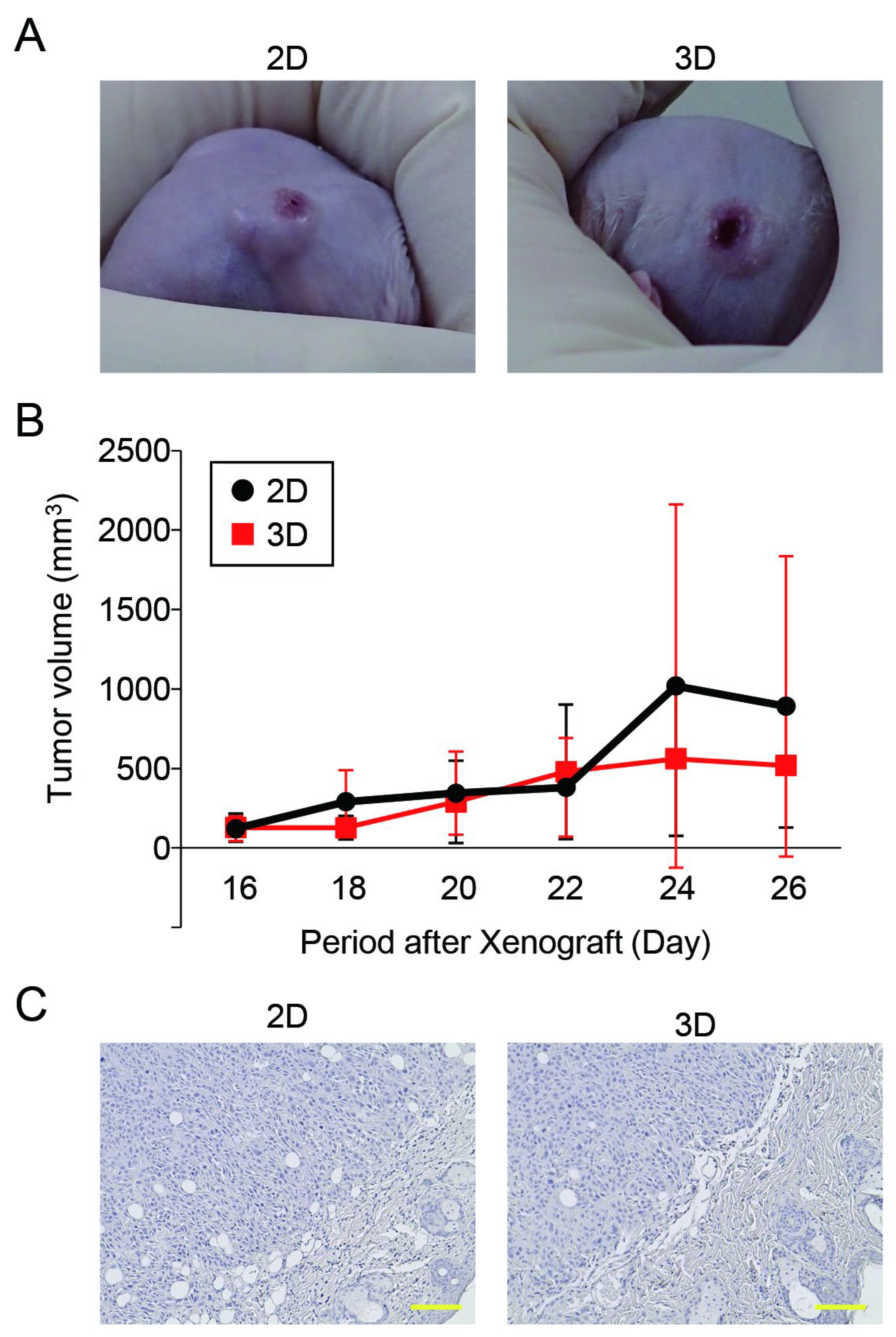 Cancers 15 05162 g006
