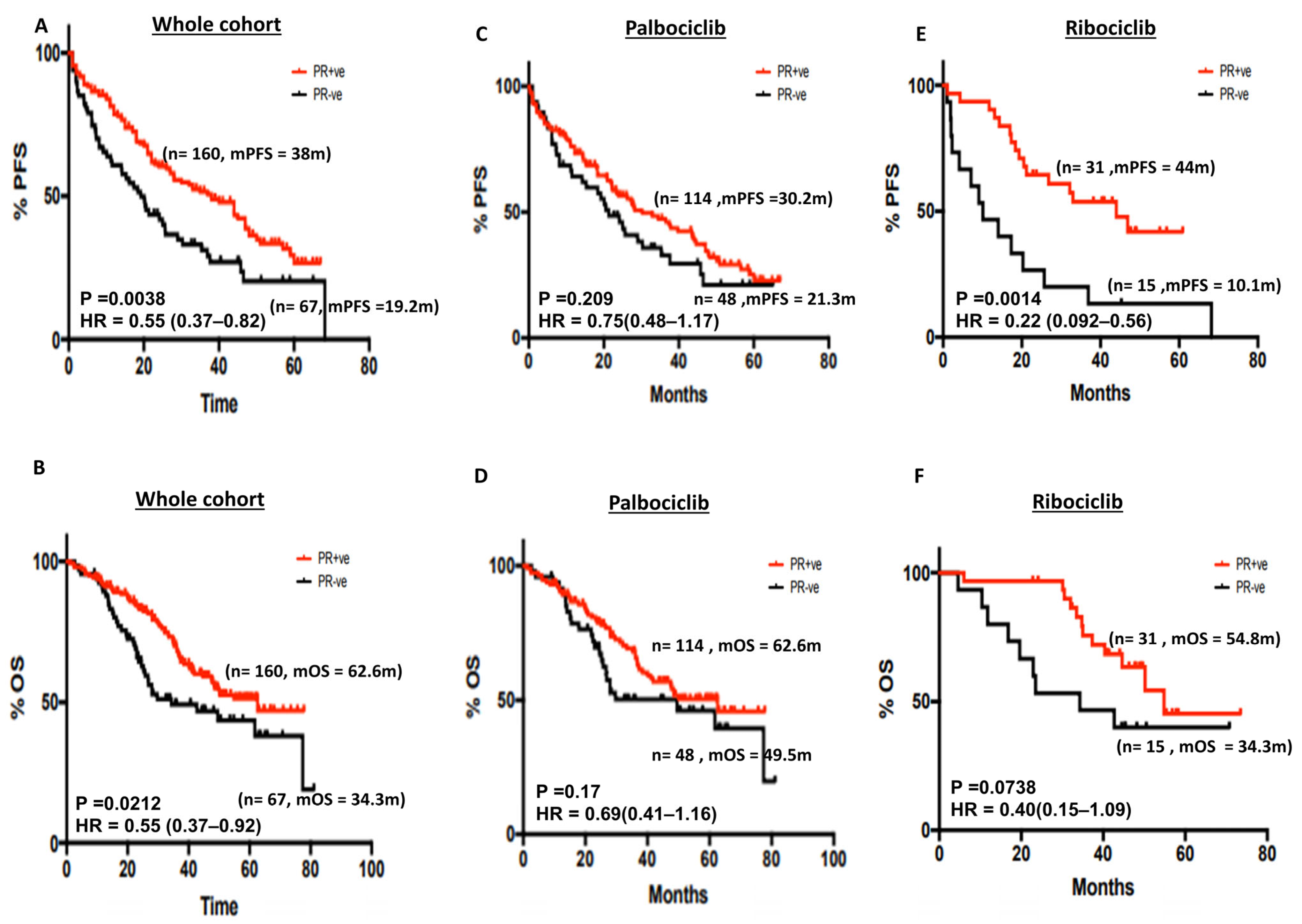 Cancers 15 05164 g003