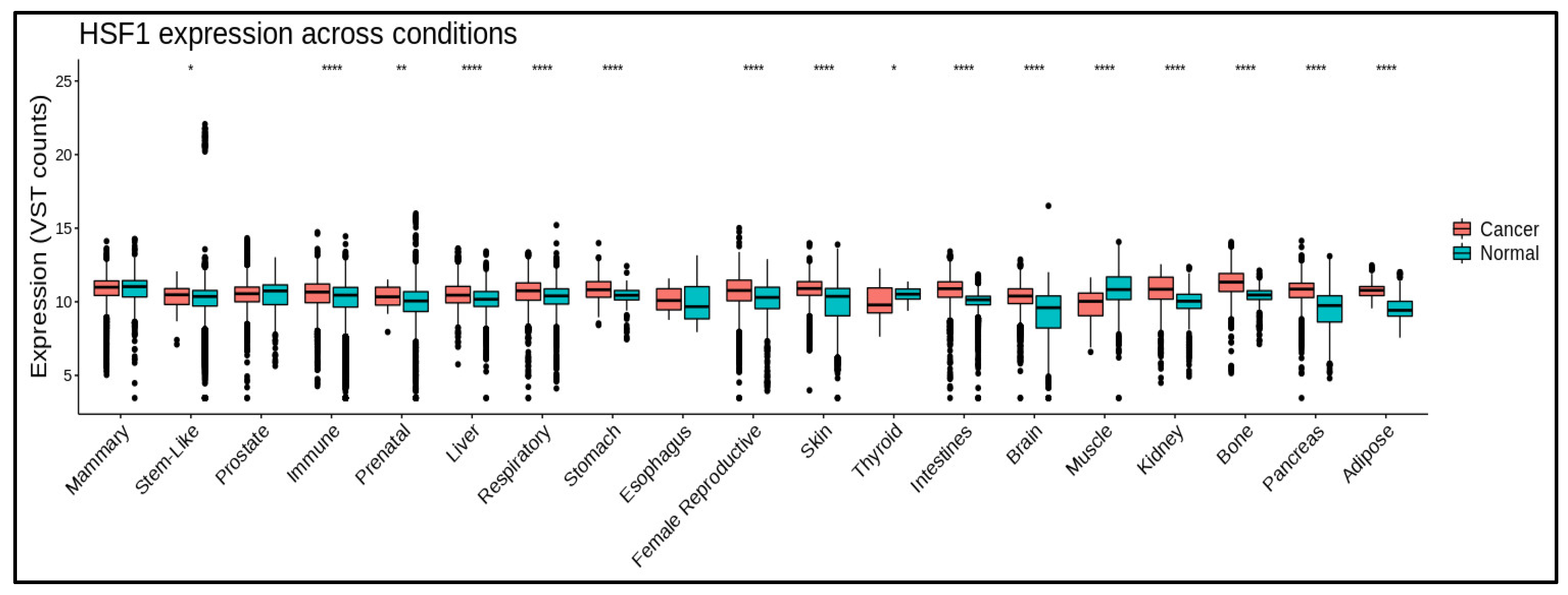 Cancers 15 05167 g002