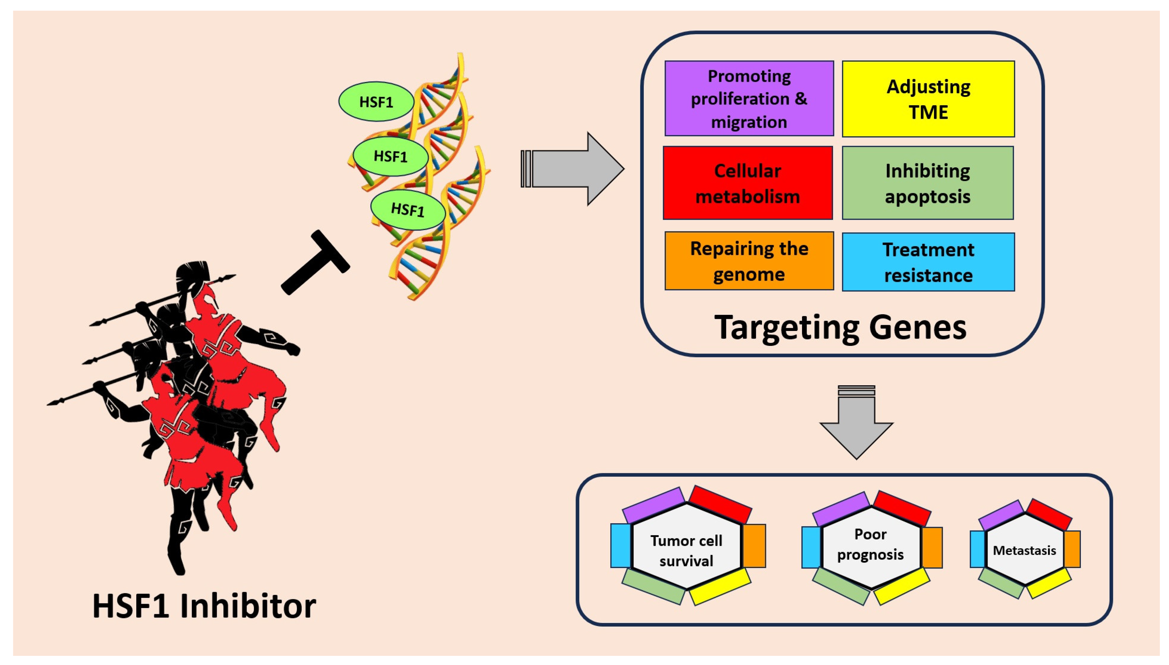 Cancers 15 05167 g003