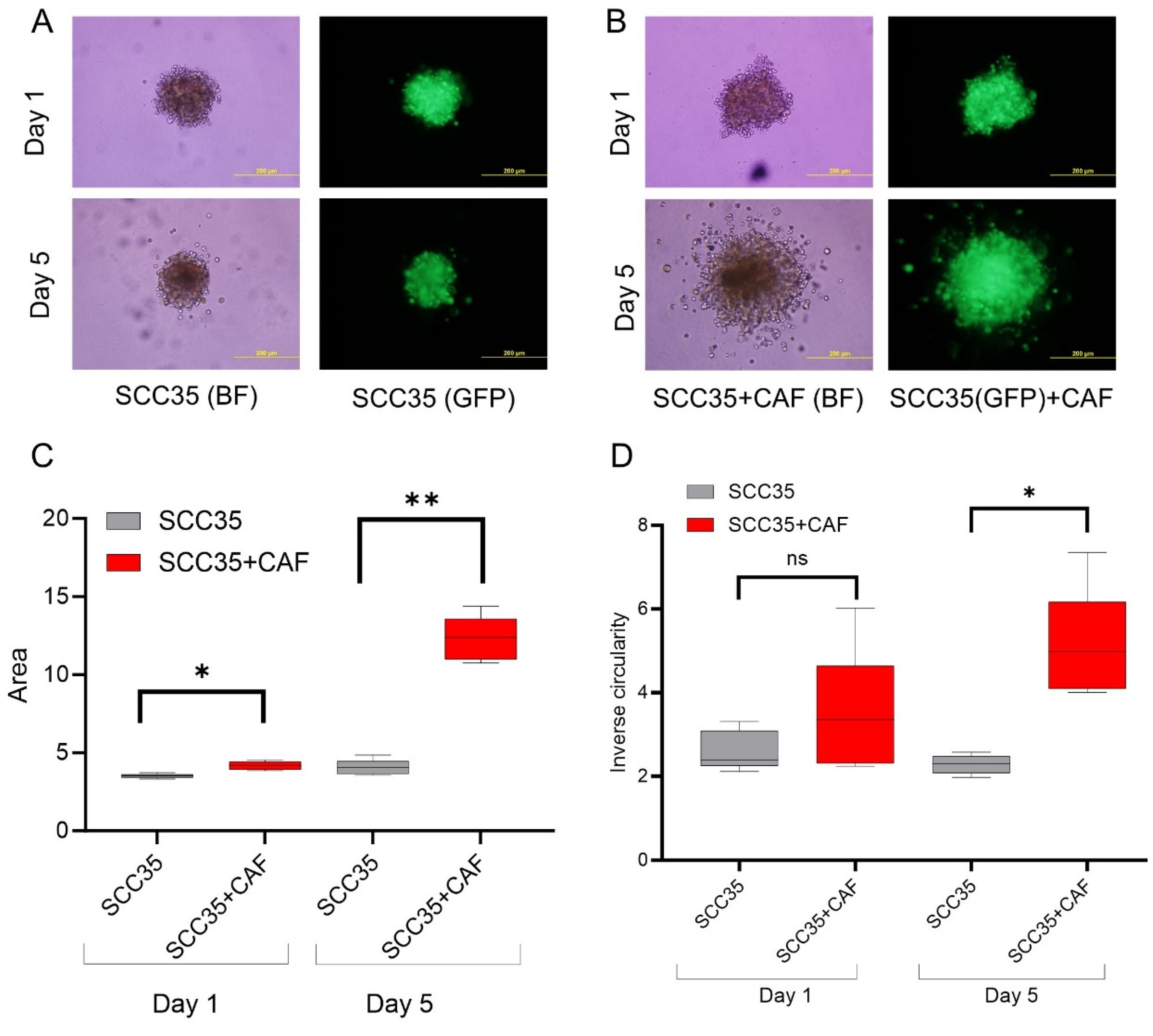 Cancers 15 05168 g001