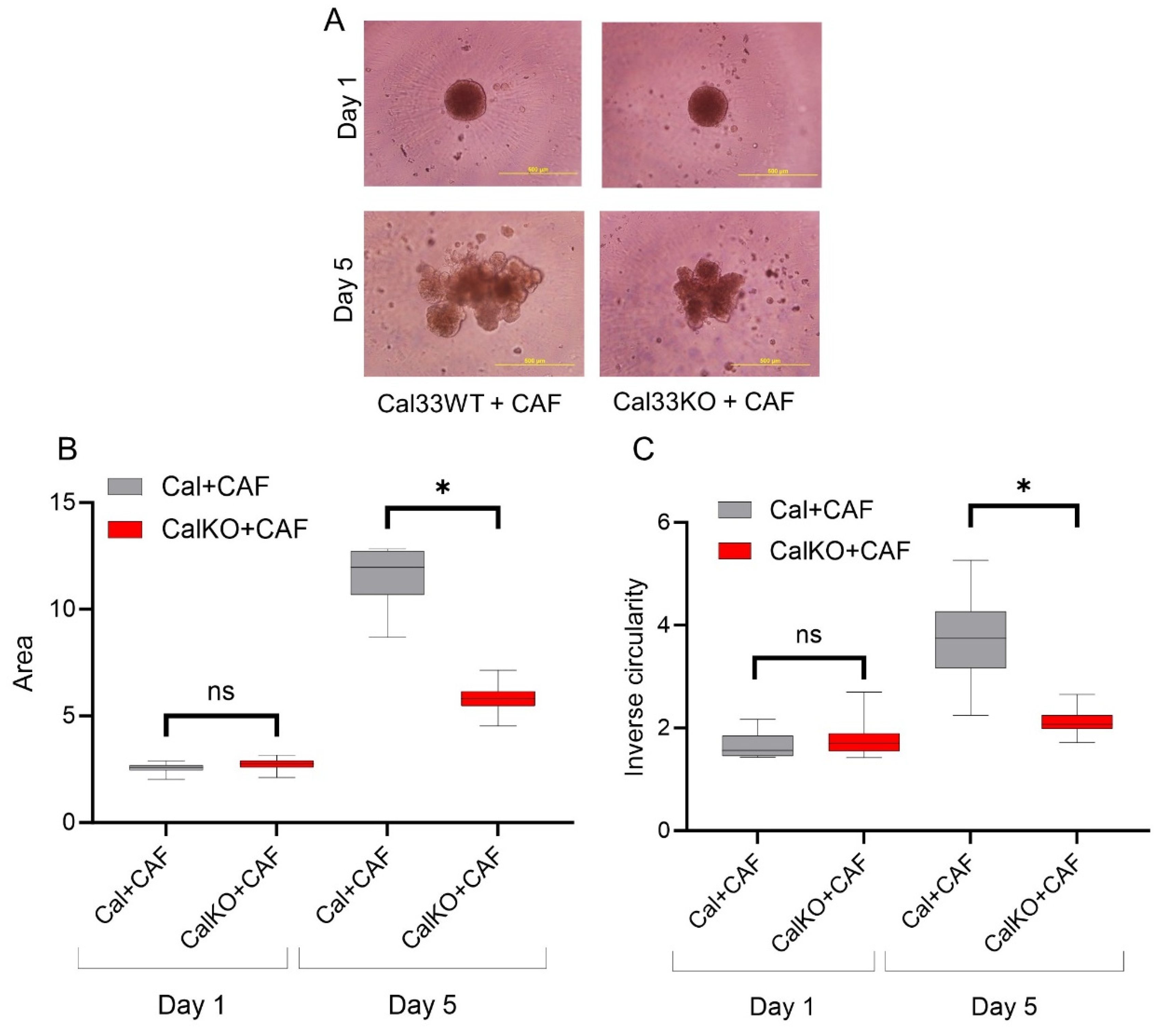 Cancers 15 05168 g004
