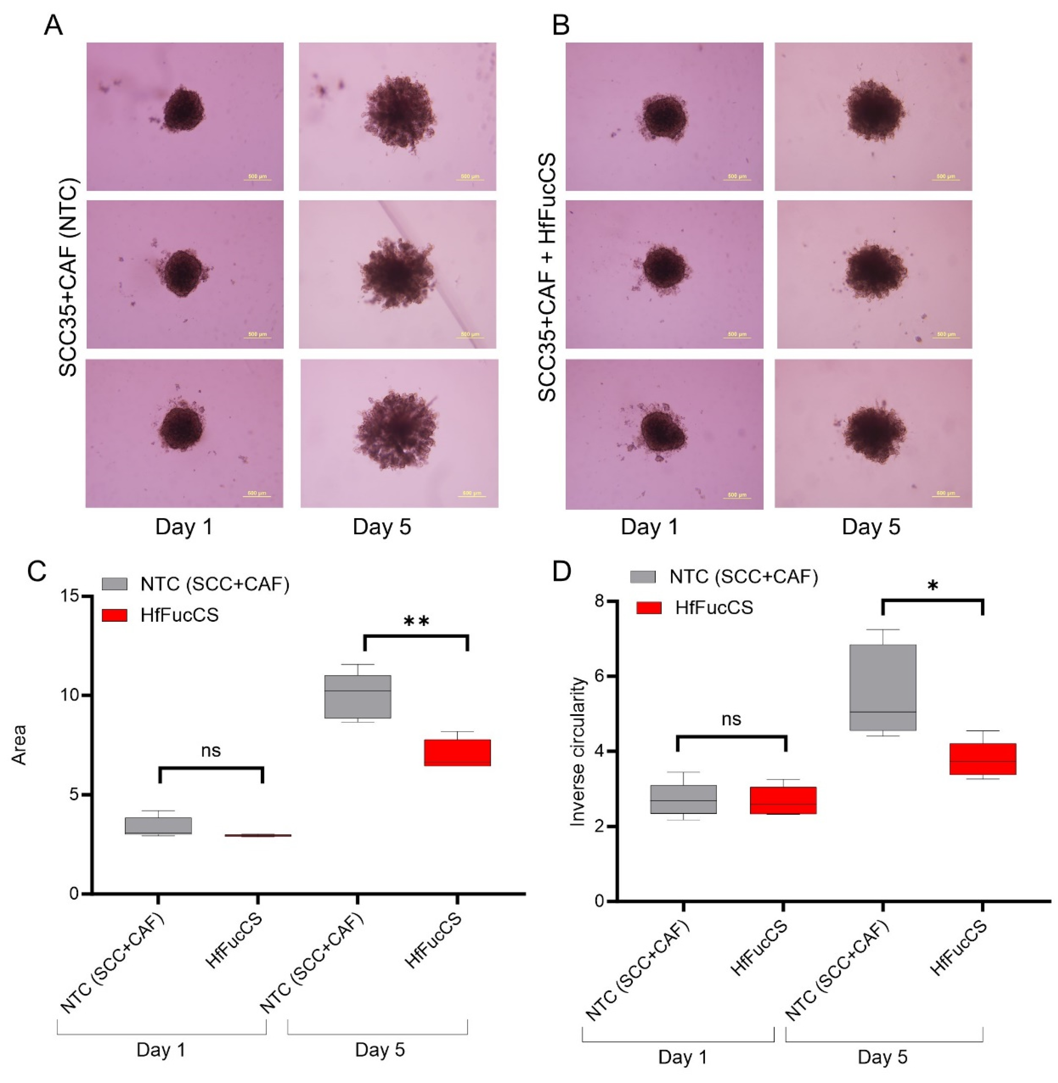 Cancers 15 05168 g006