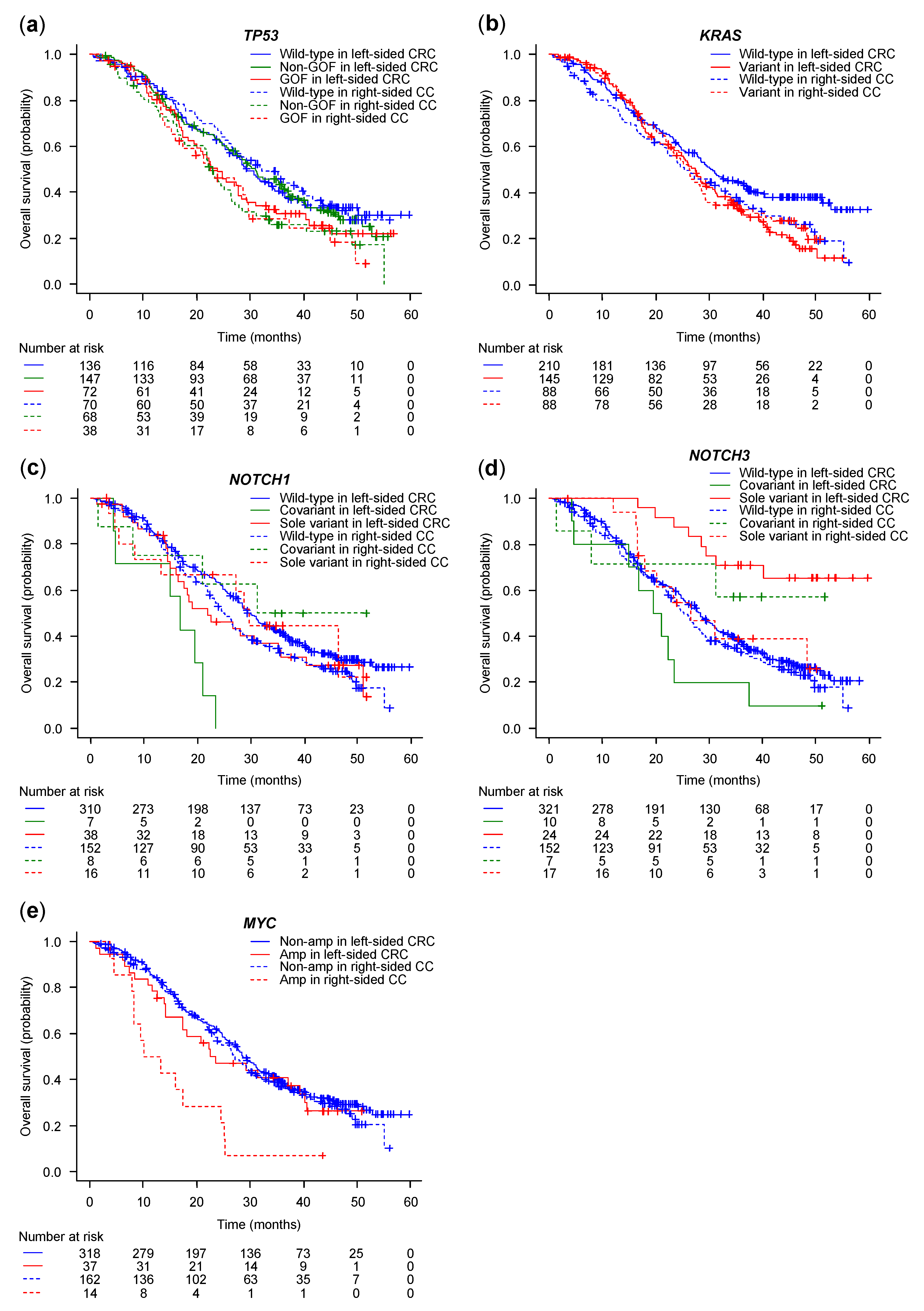 Cancers 15 05172 g002