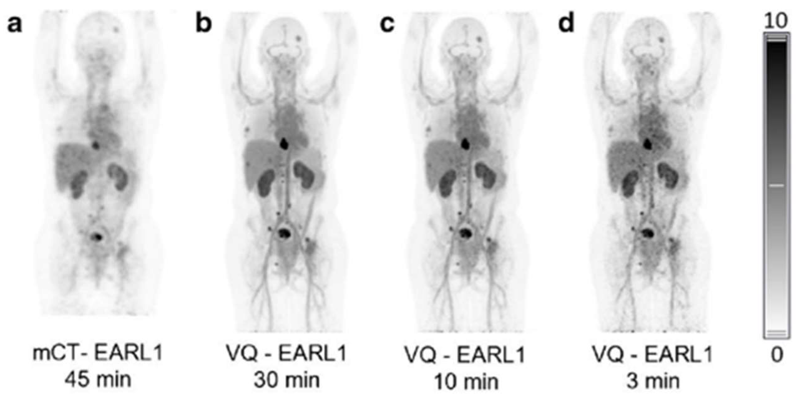Cancers 15 05173 g001
