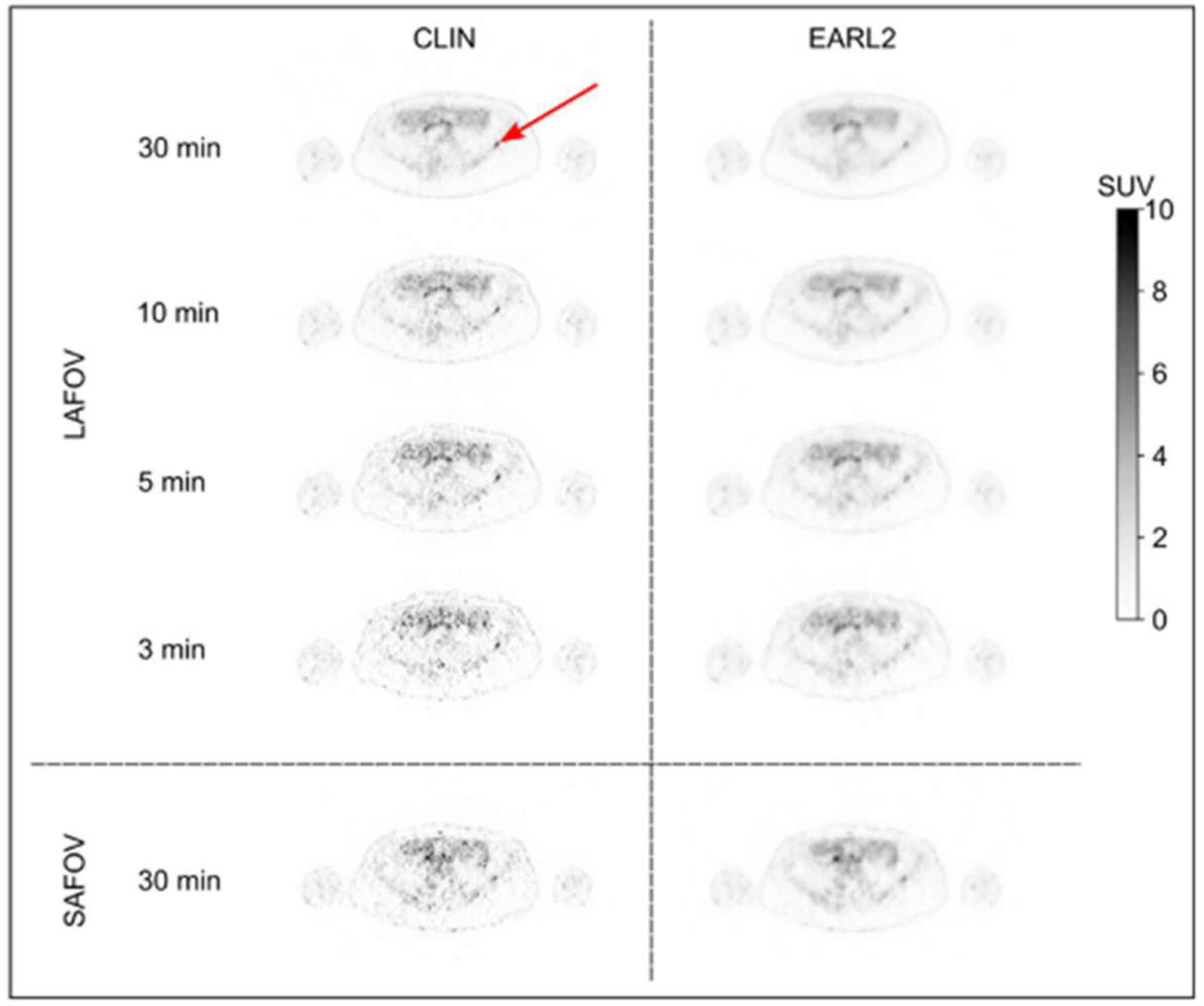 Cancers 15 05173 g002