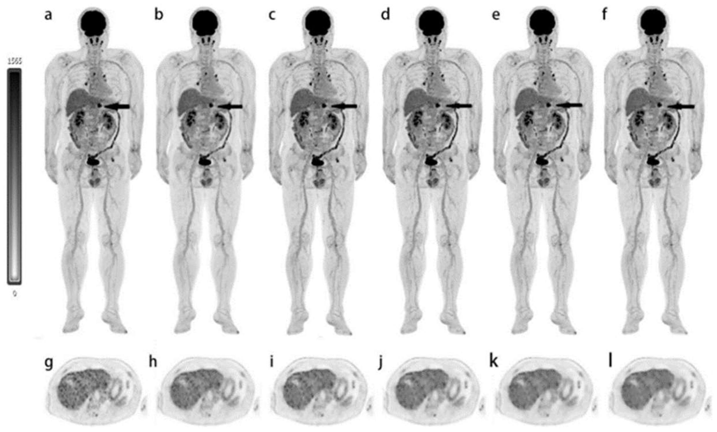 Cancers 15 05173 g006