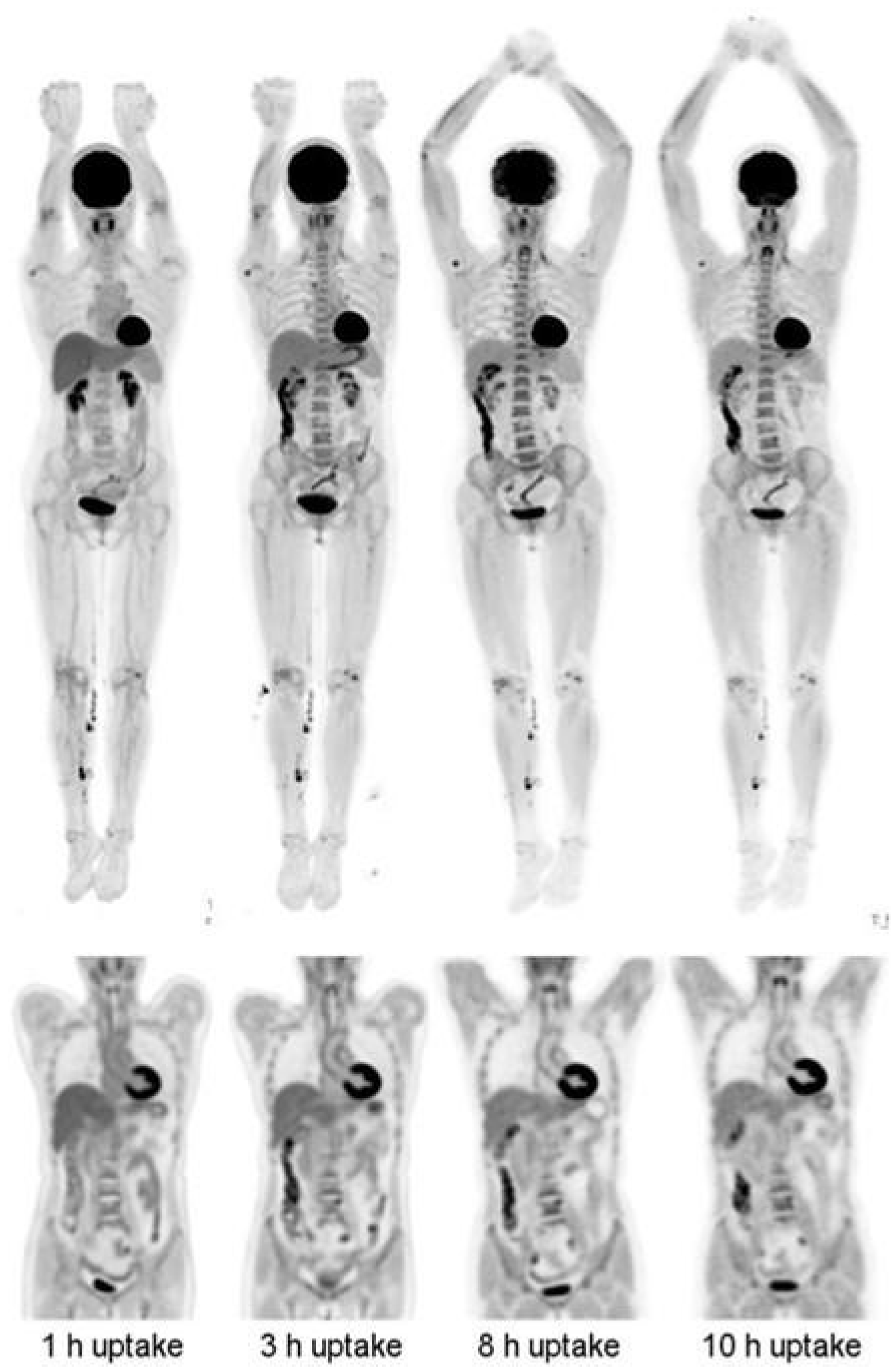 Cancers 15 05173 g008