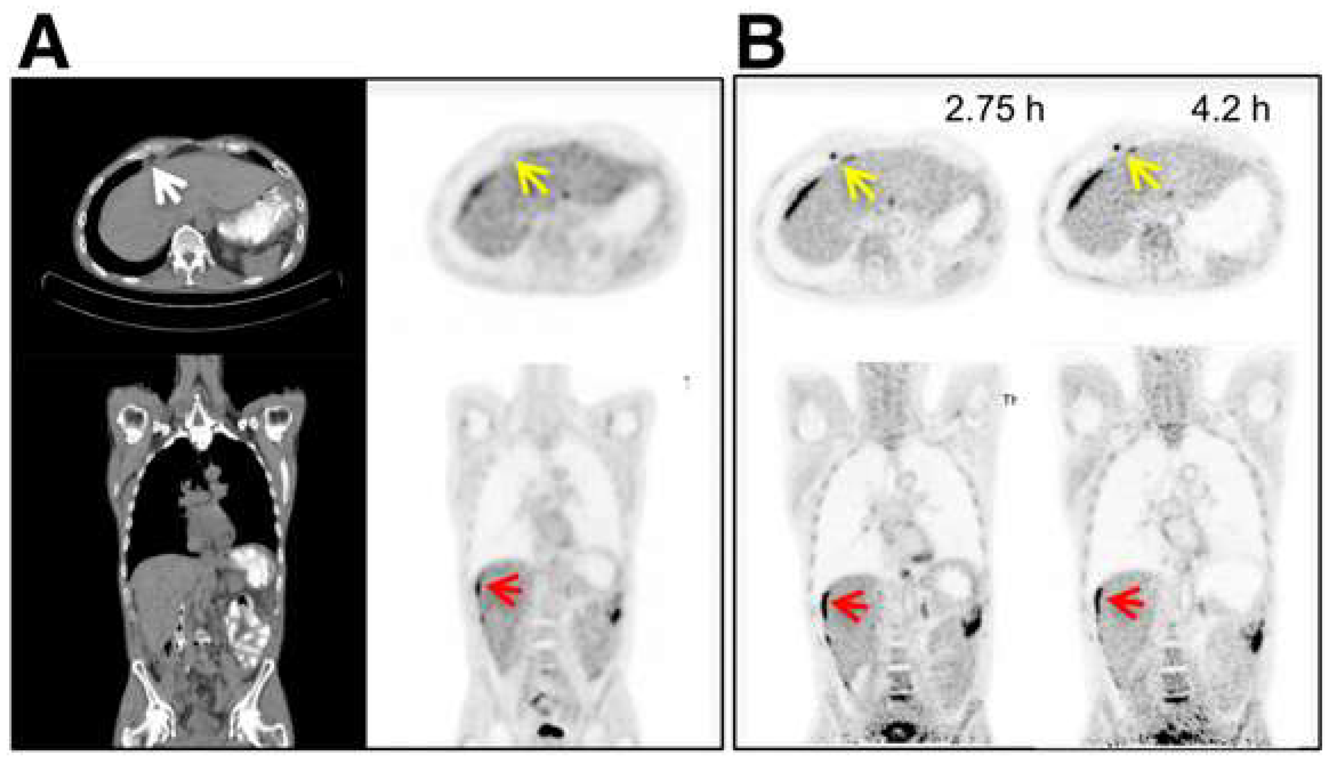 Cancers 15 05173 g009