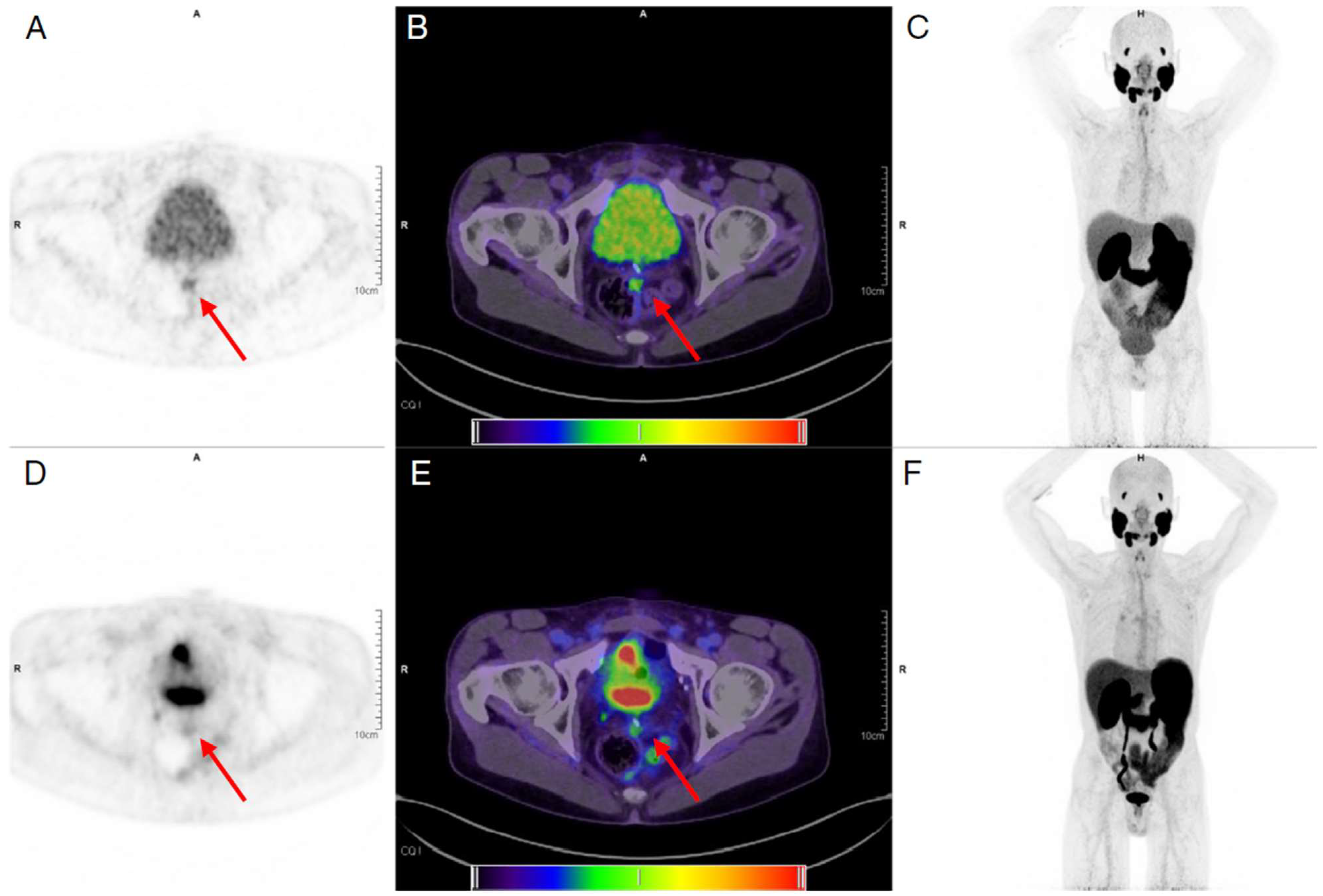 Cancers 15 05173 g010