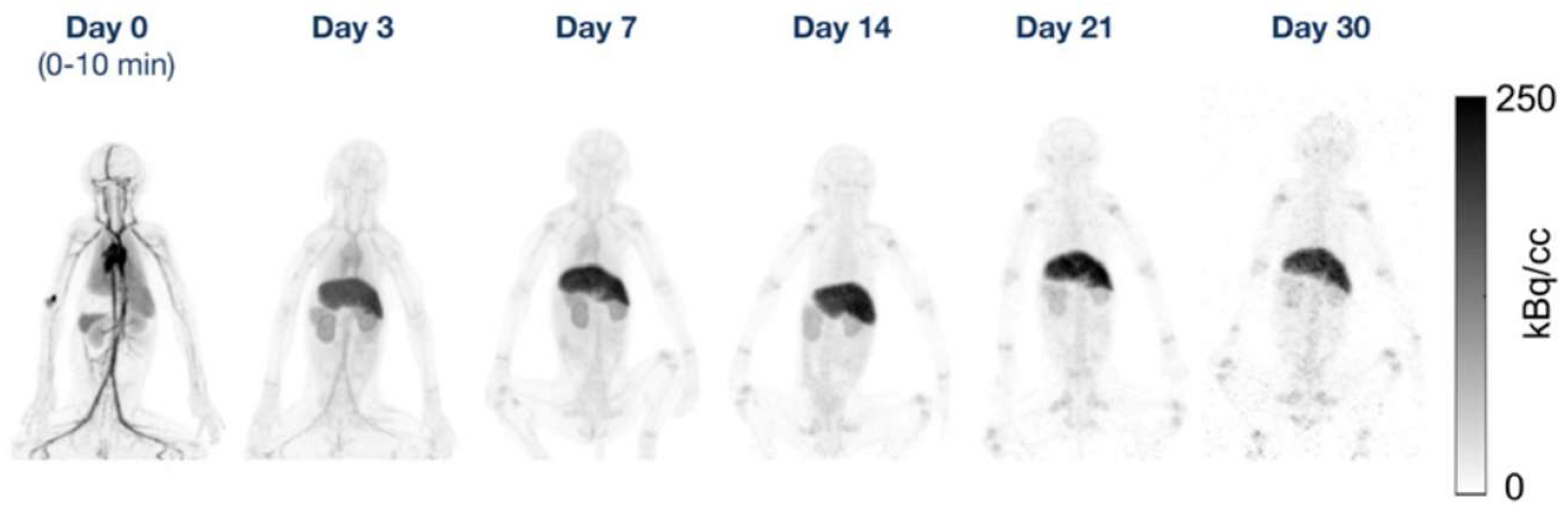 Cancers 15 05173 g011