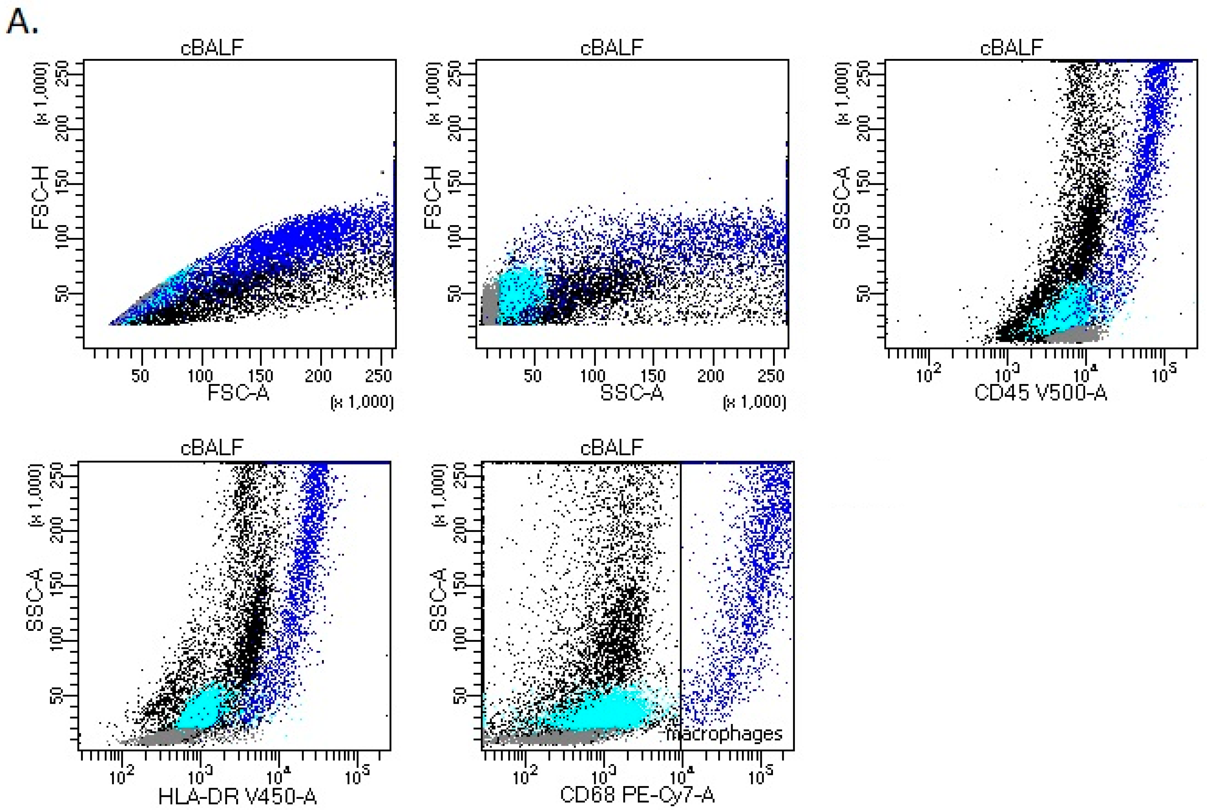 Cancers 15 05175 g001a