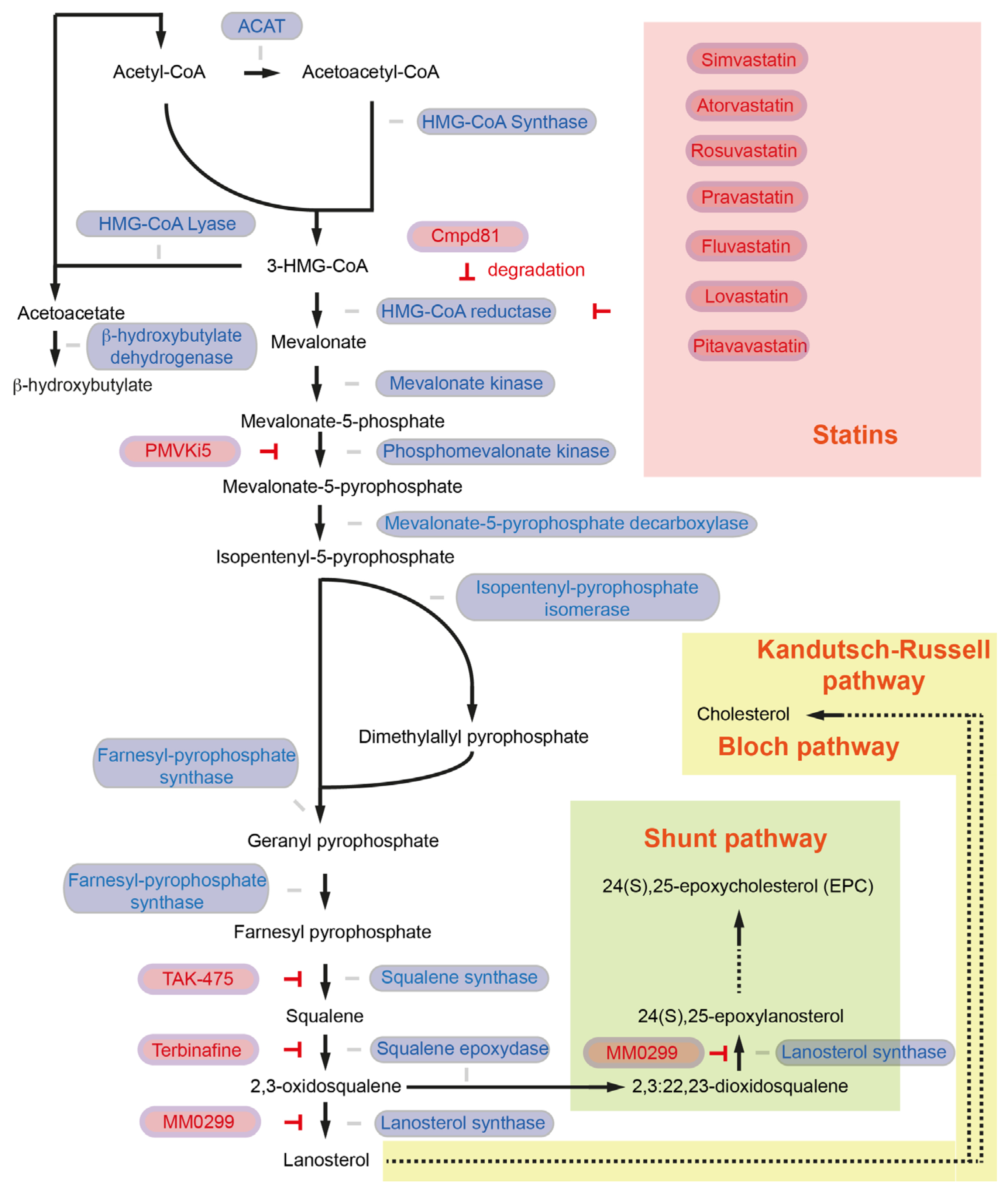 Cancers 15 05177 g001