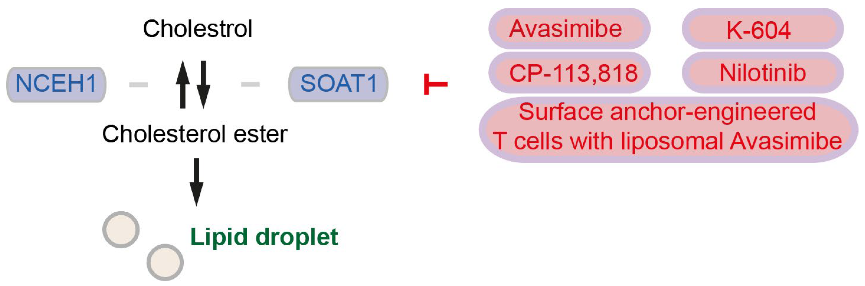 Cancers 15 05177 g002