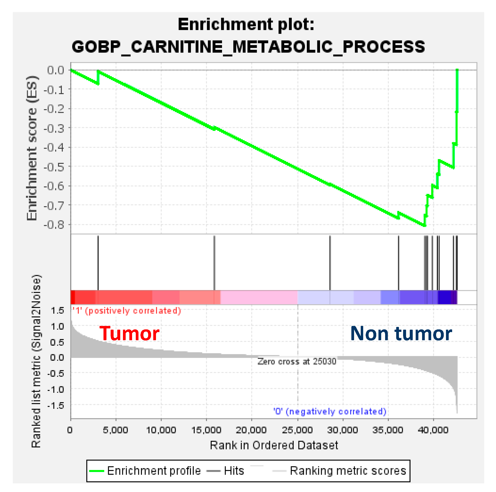 Cancers 15 05182 g005