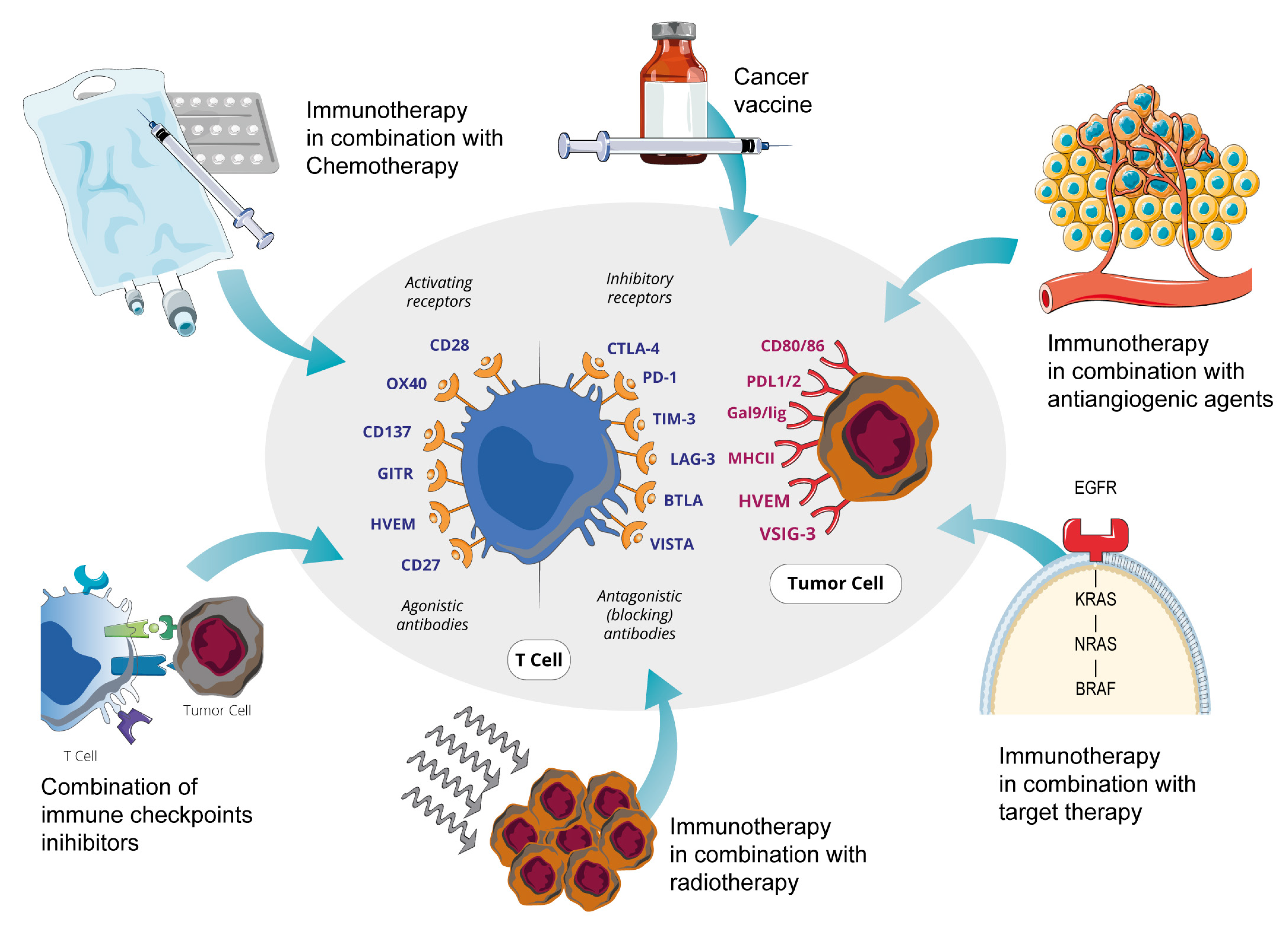 Cancers 15 05189 g001