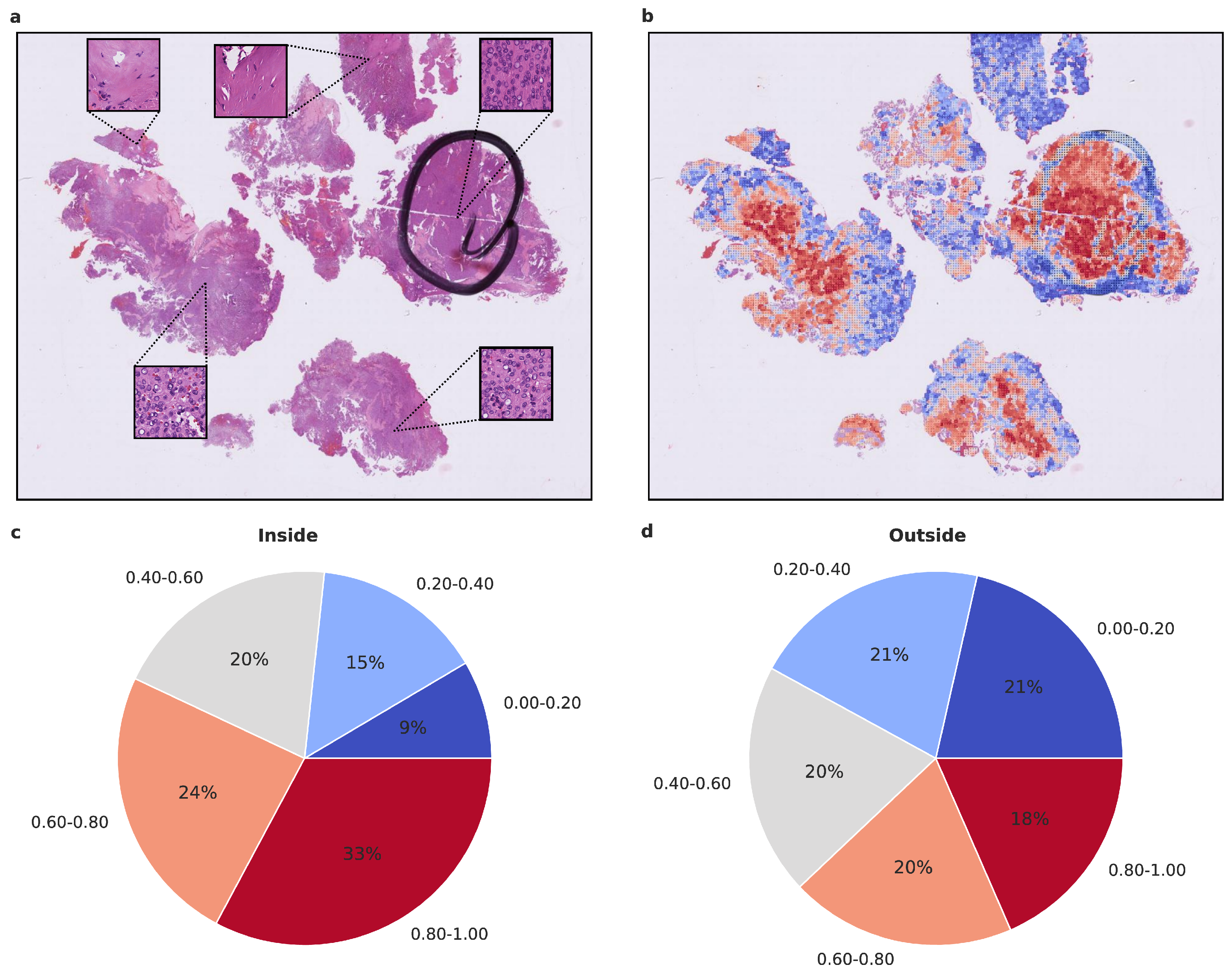 Cancers 15 05190 g004