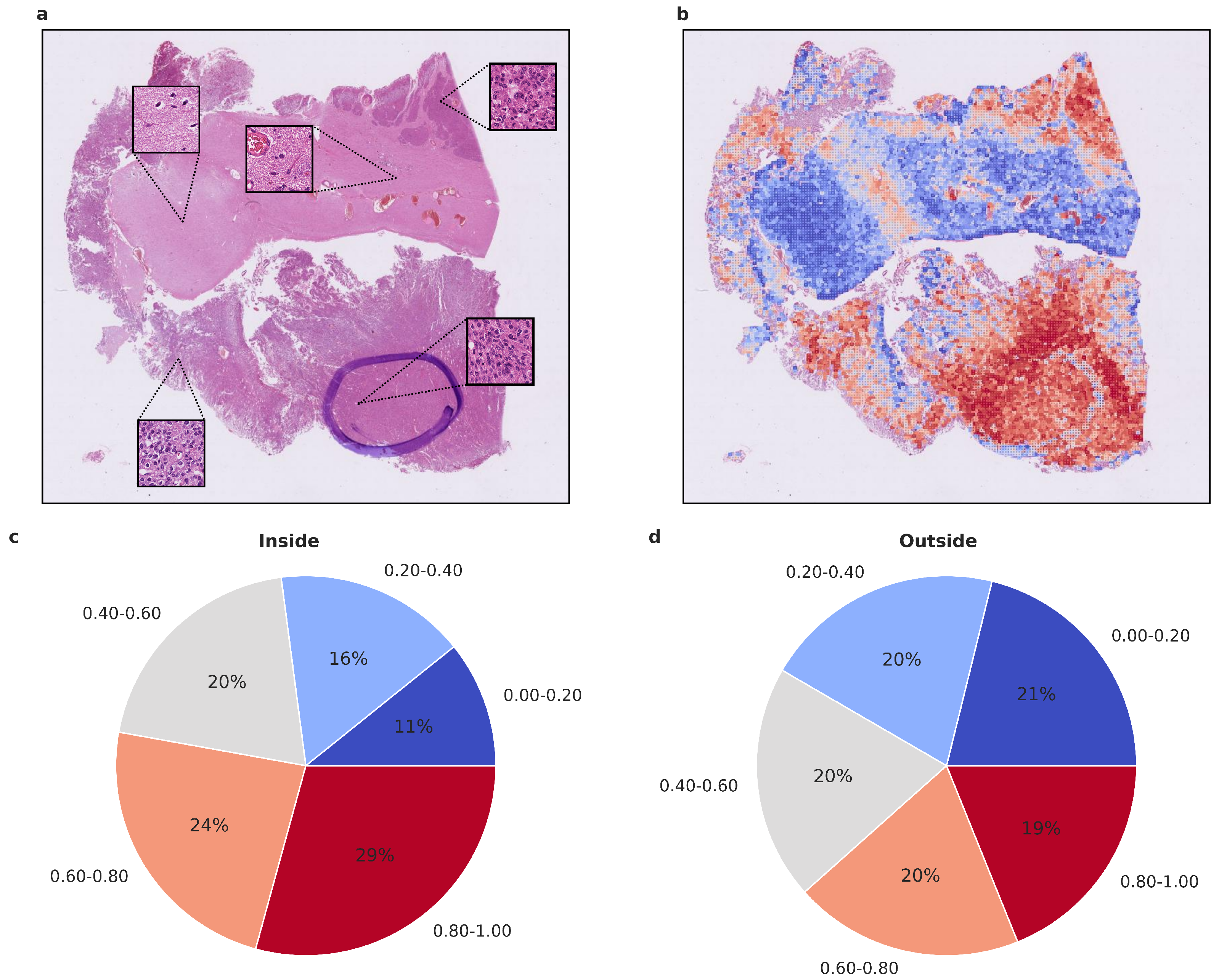 Cancers 15 05190 g005