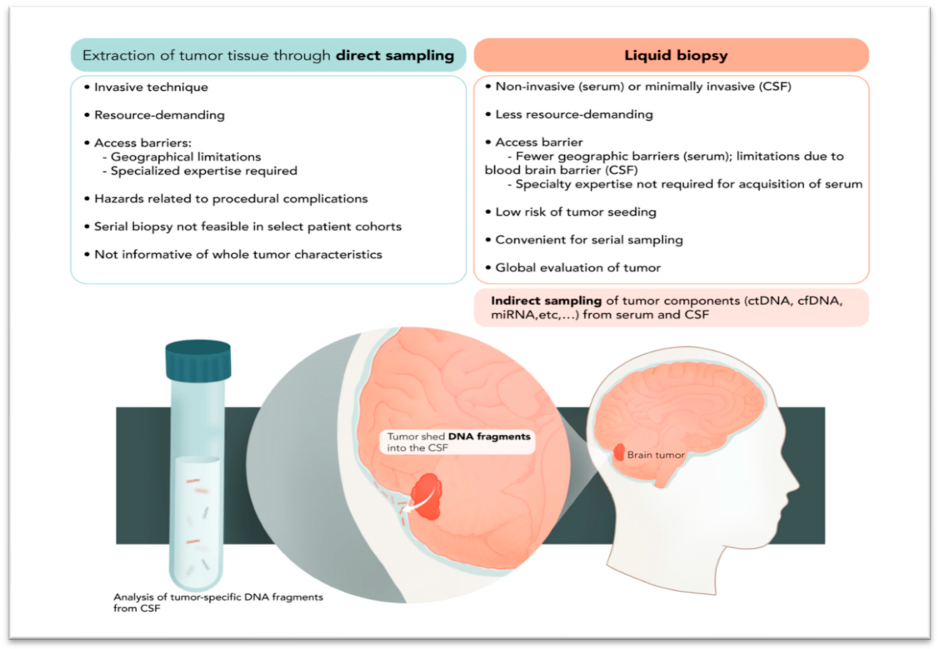 Cancers 15 05198 g001