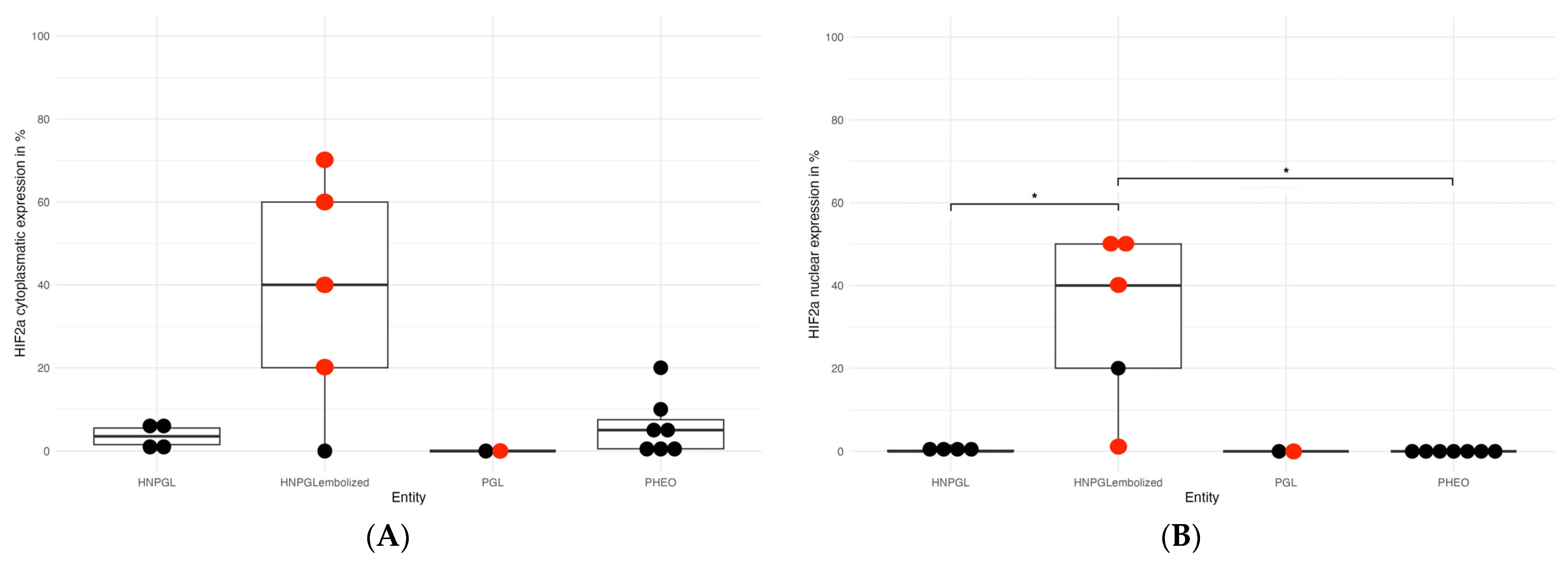 Cancers 15 05199 g004