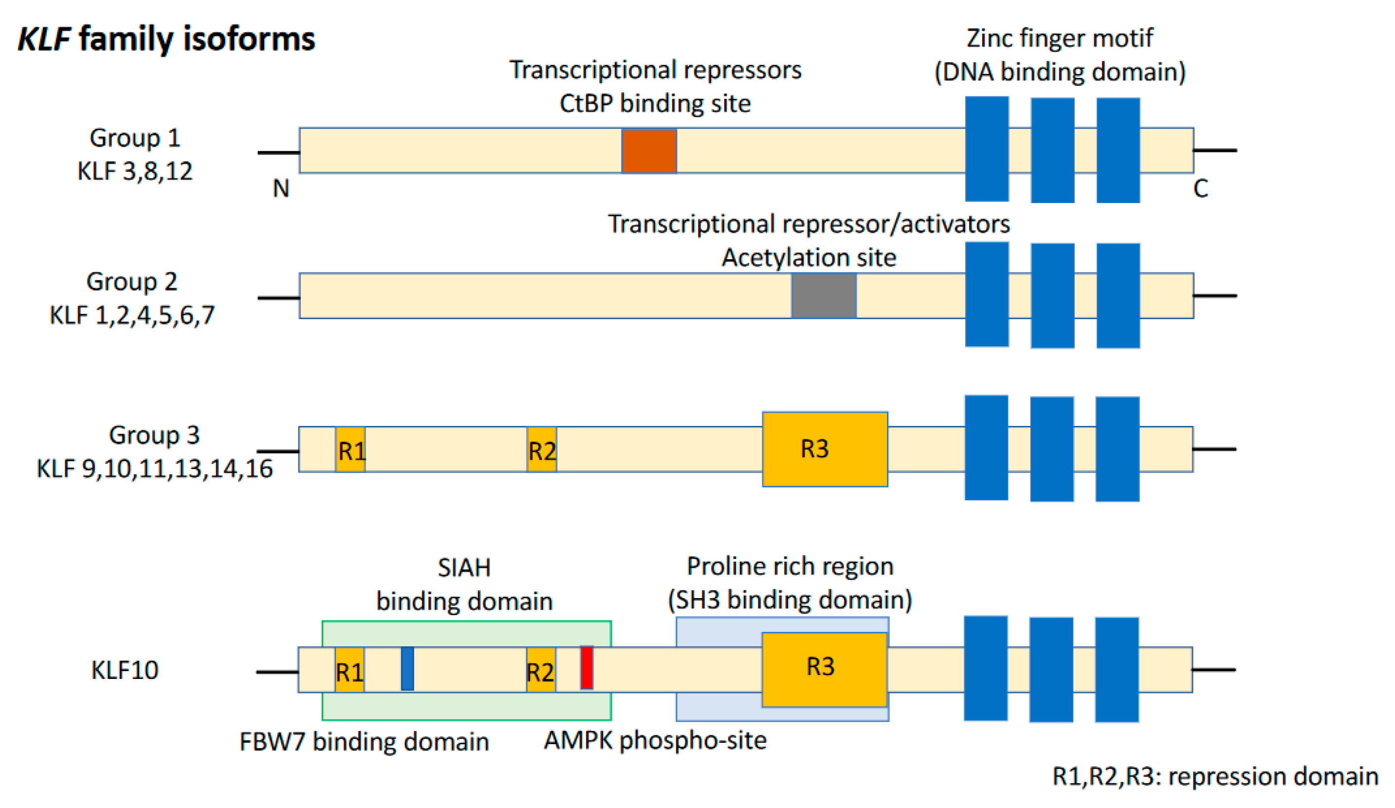 Cancers 15 05212 g001