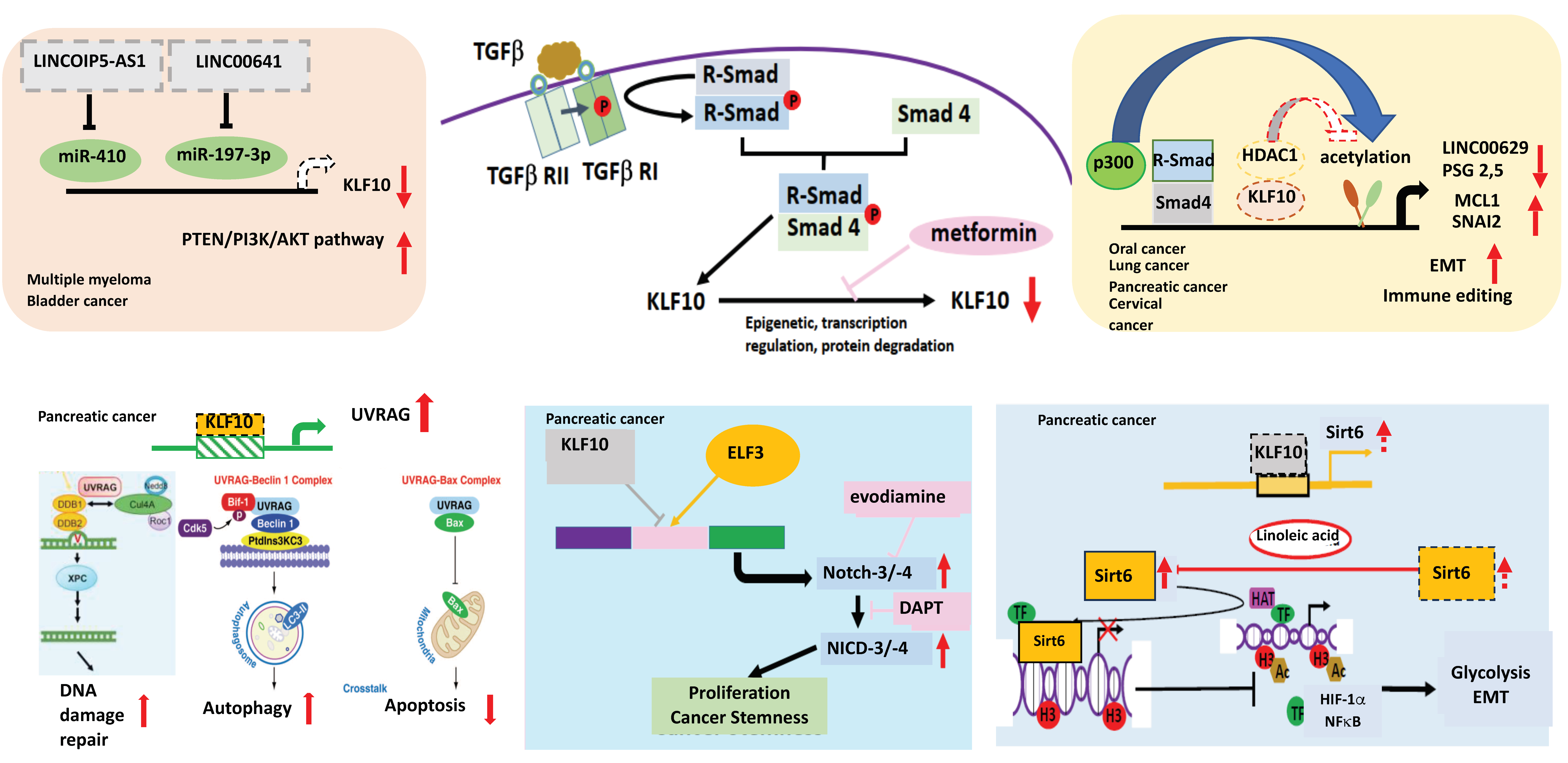 Cancers 15 05212 g002