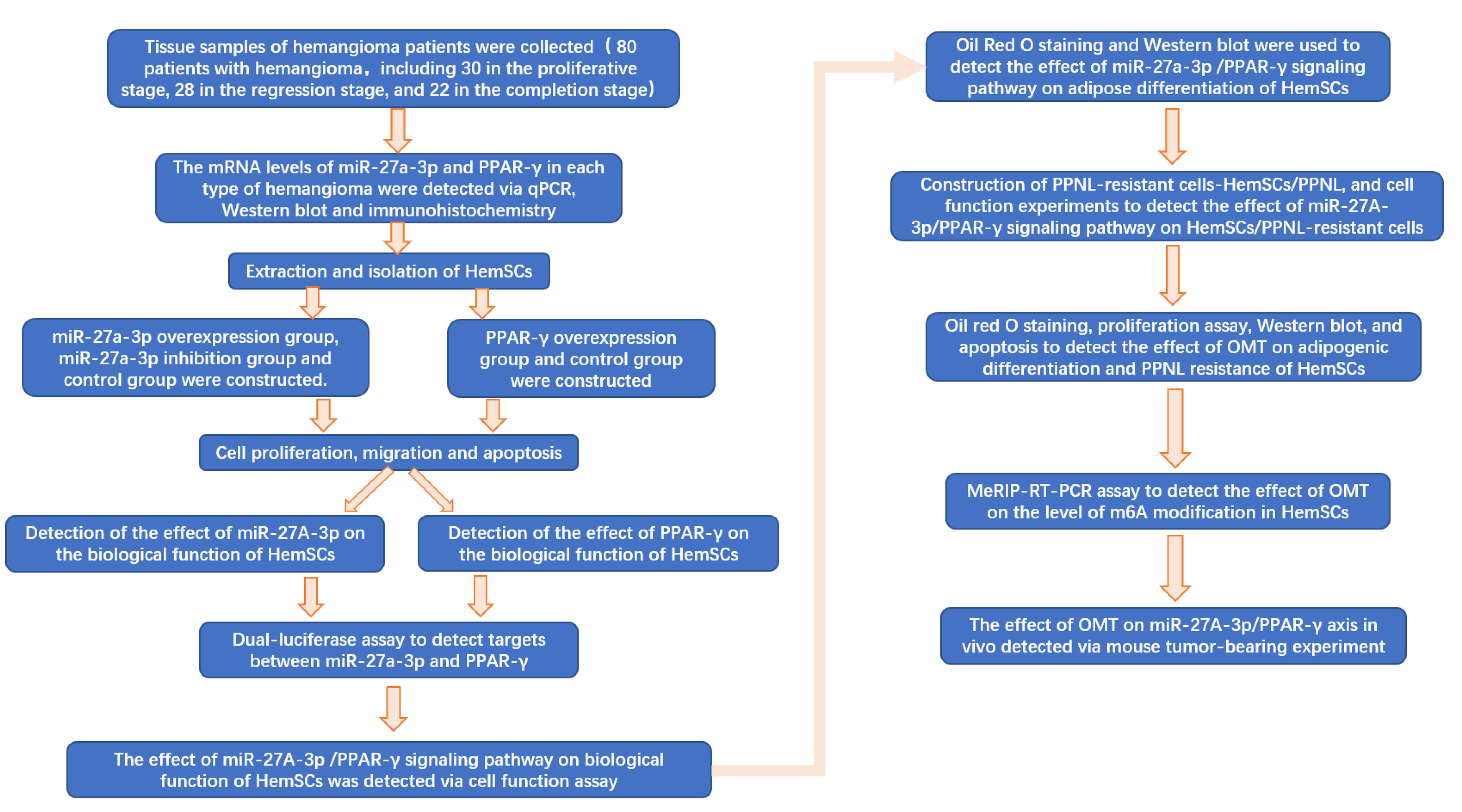 Cancers 15 05213 g001