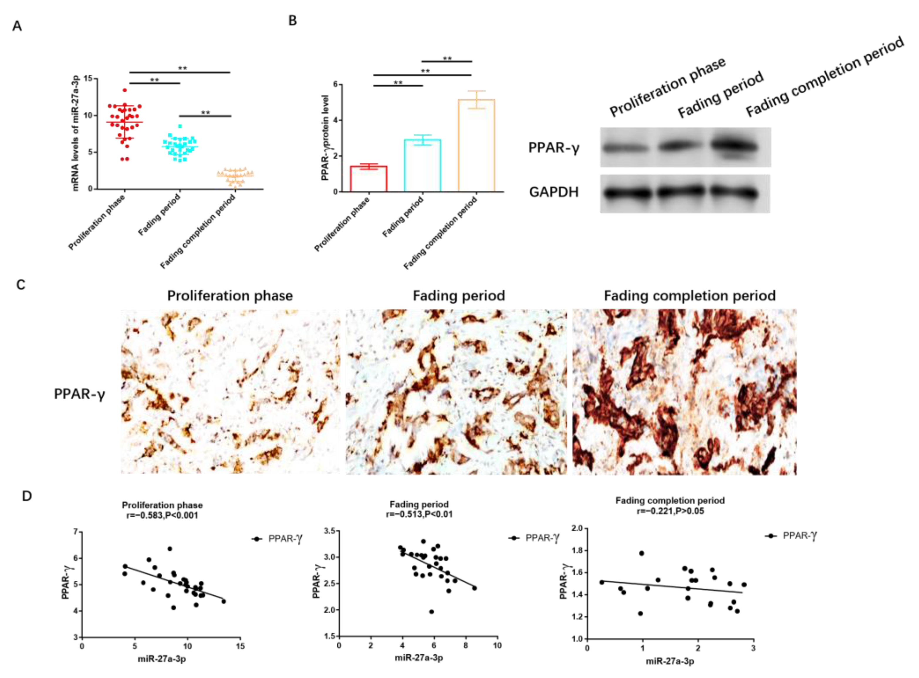 Cancers 15 05213 g002