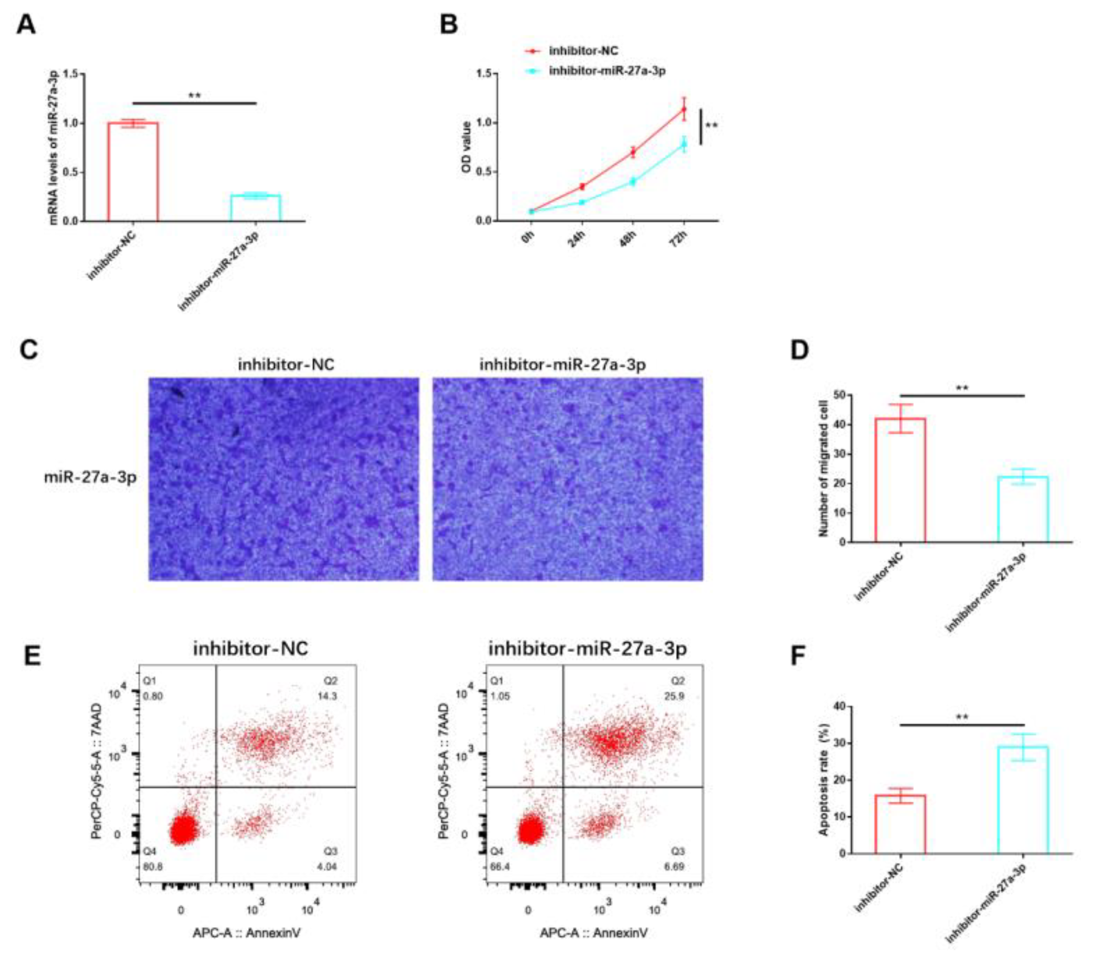 Cancers 15 05213 g003